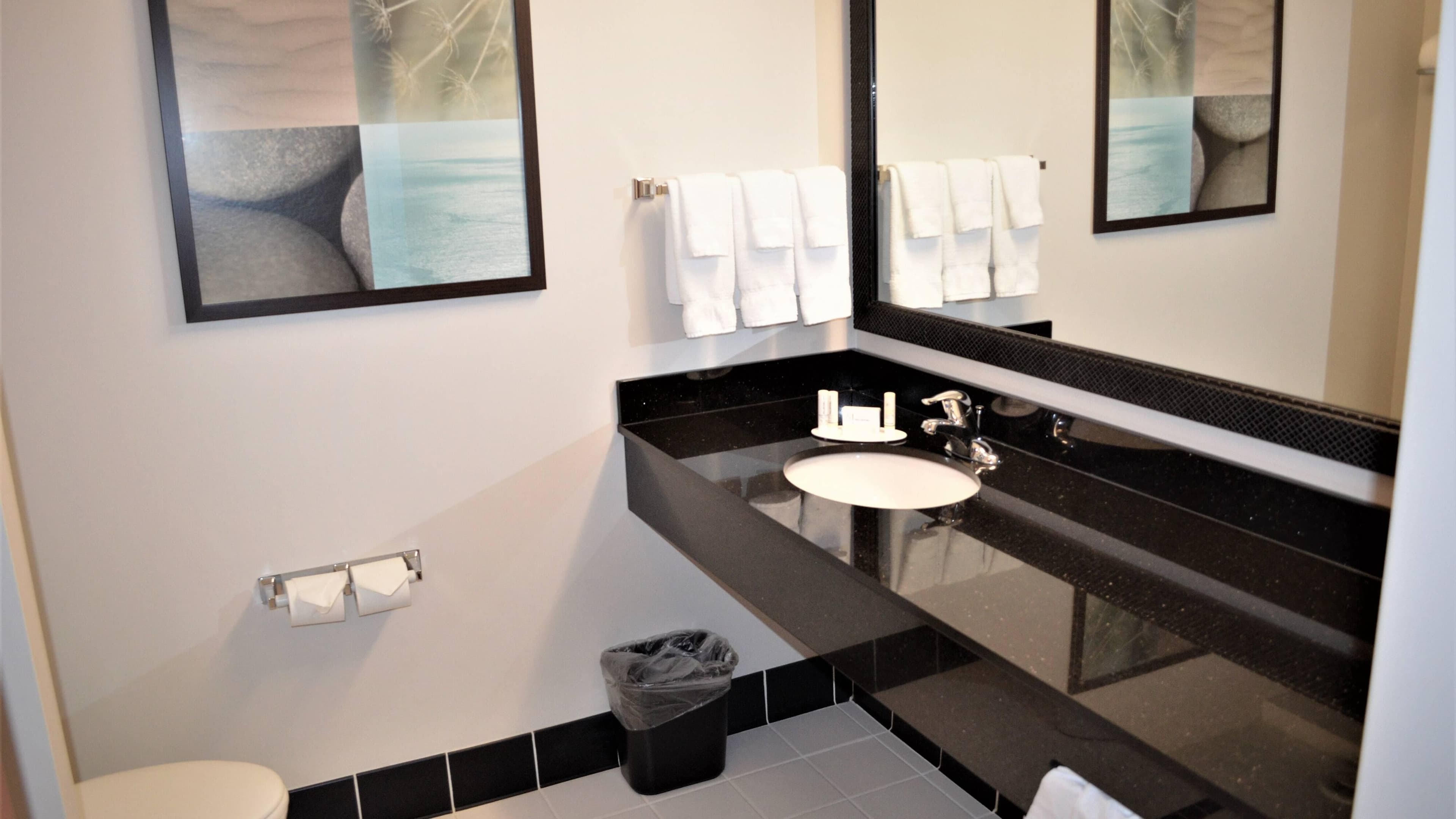 Fairfield Inn & Suites Sault Ste. Marie - Image 4