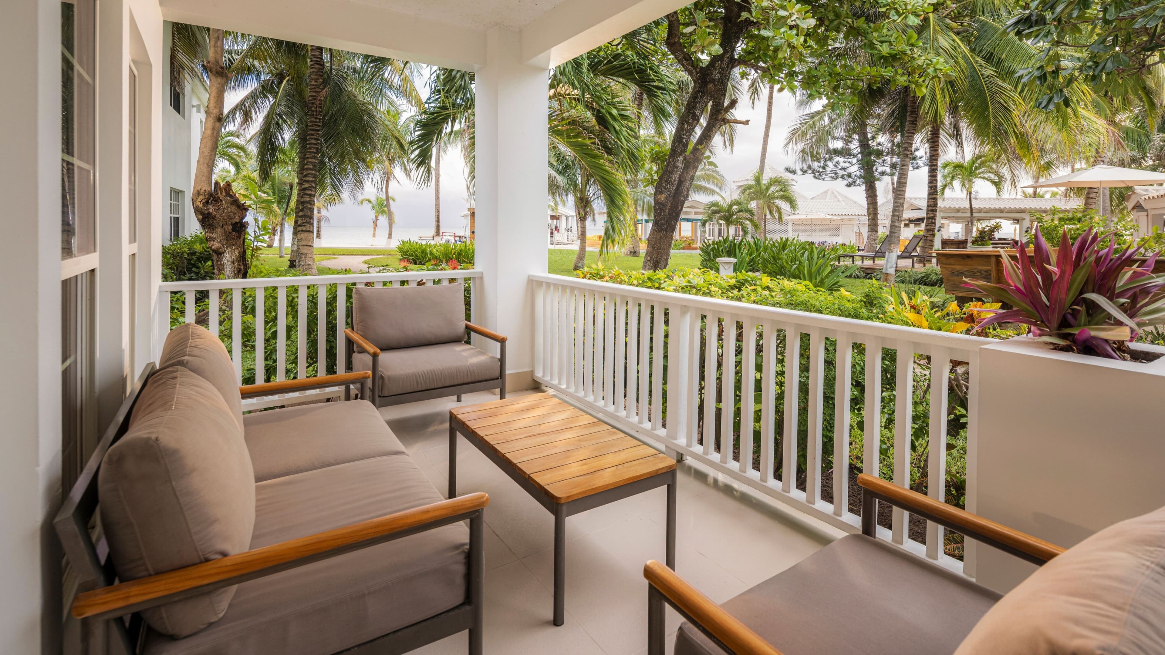 Alaia Belize, Autograph Collection — 108