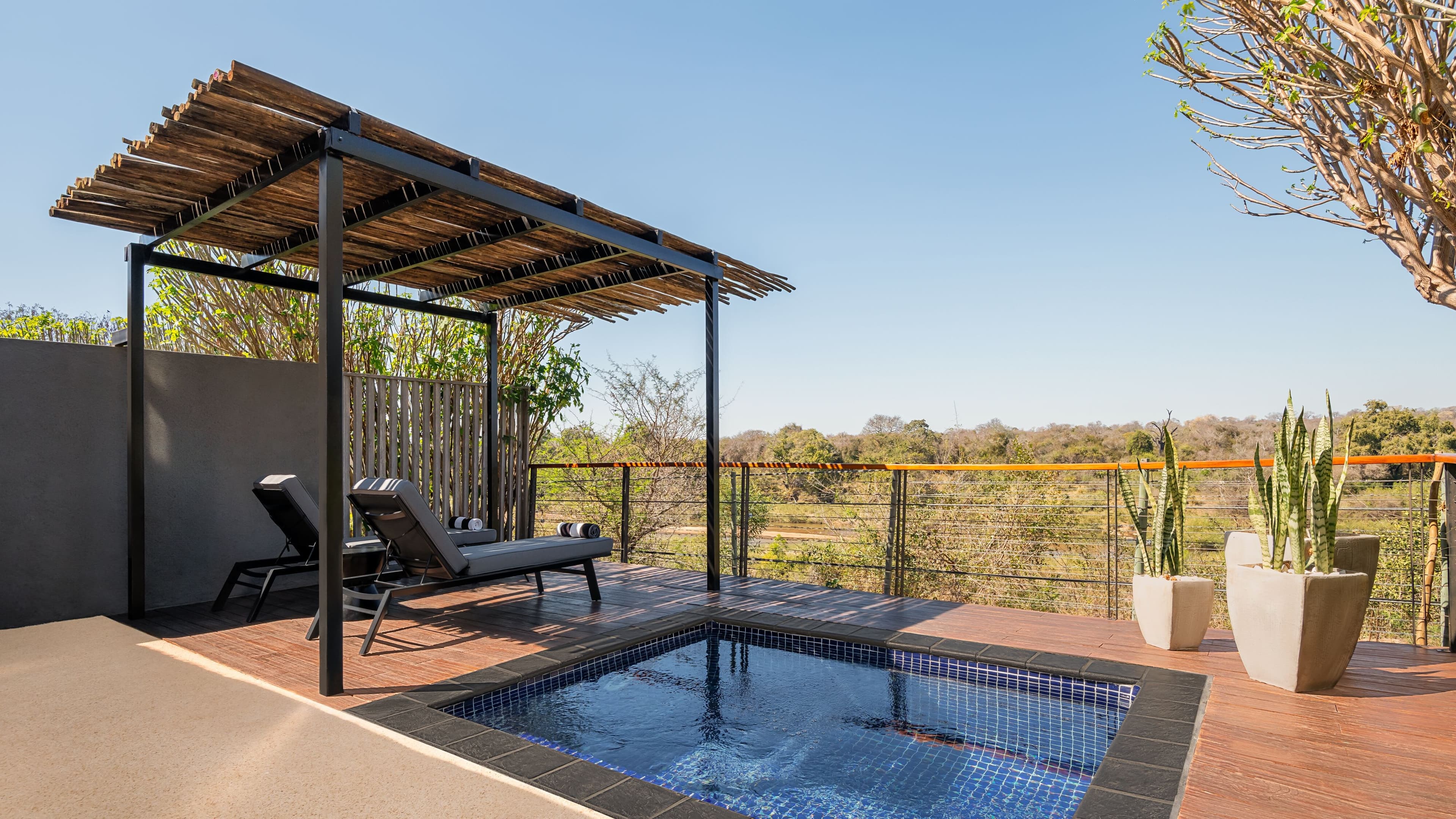 Leopard Sands, Kruger Park — 46