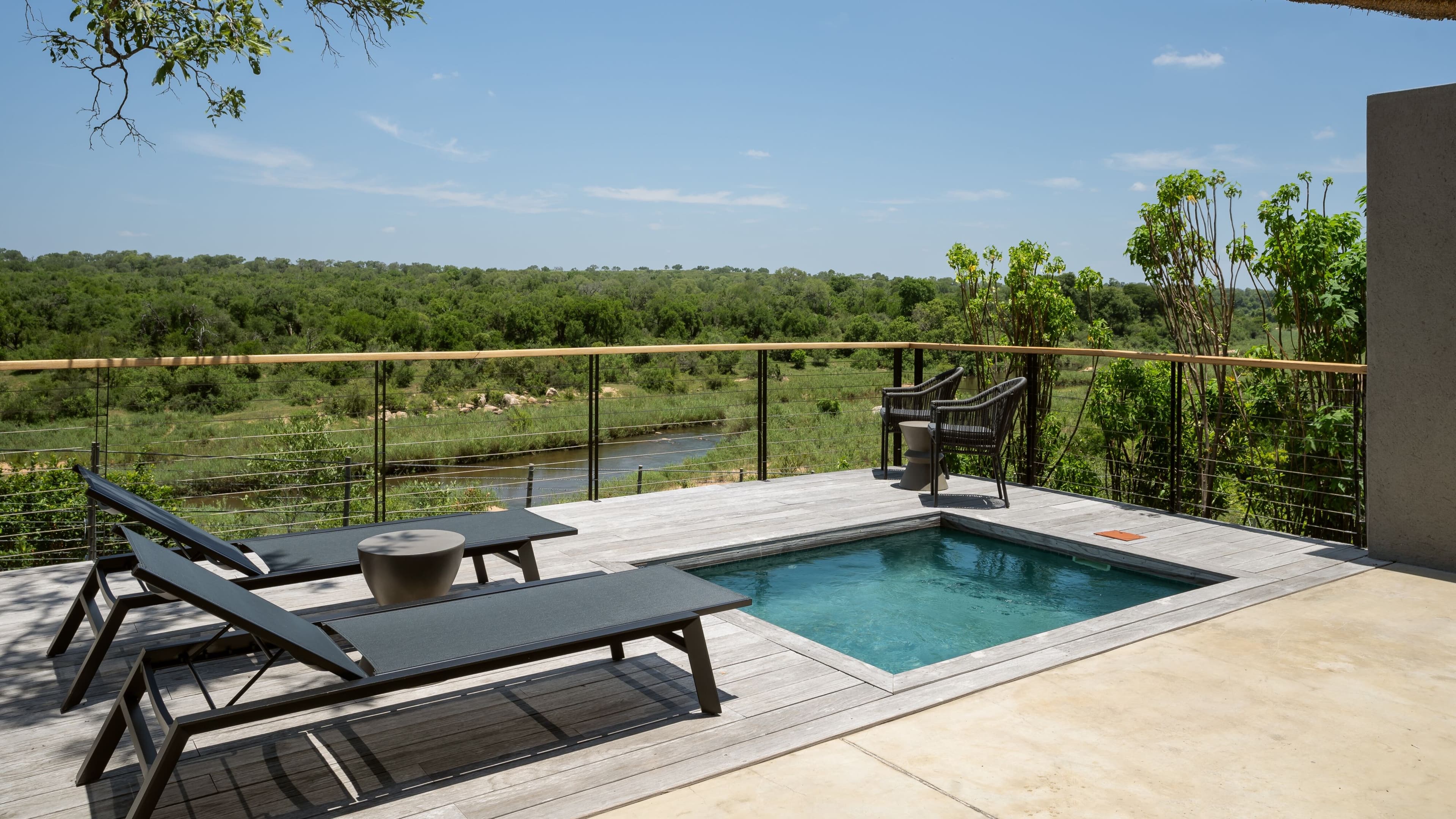 Leopard Sands, Kruger Park - Image 5