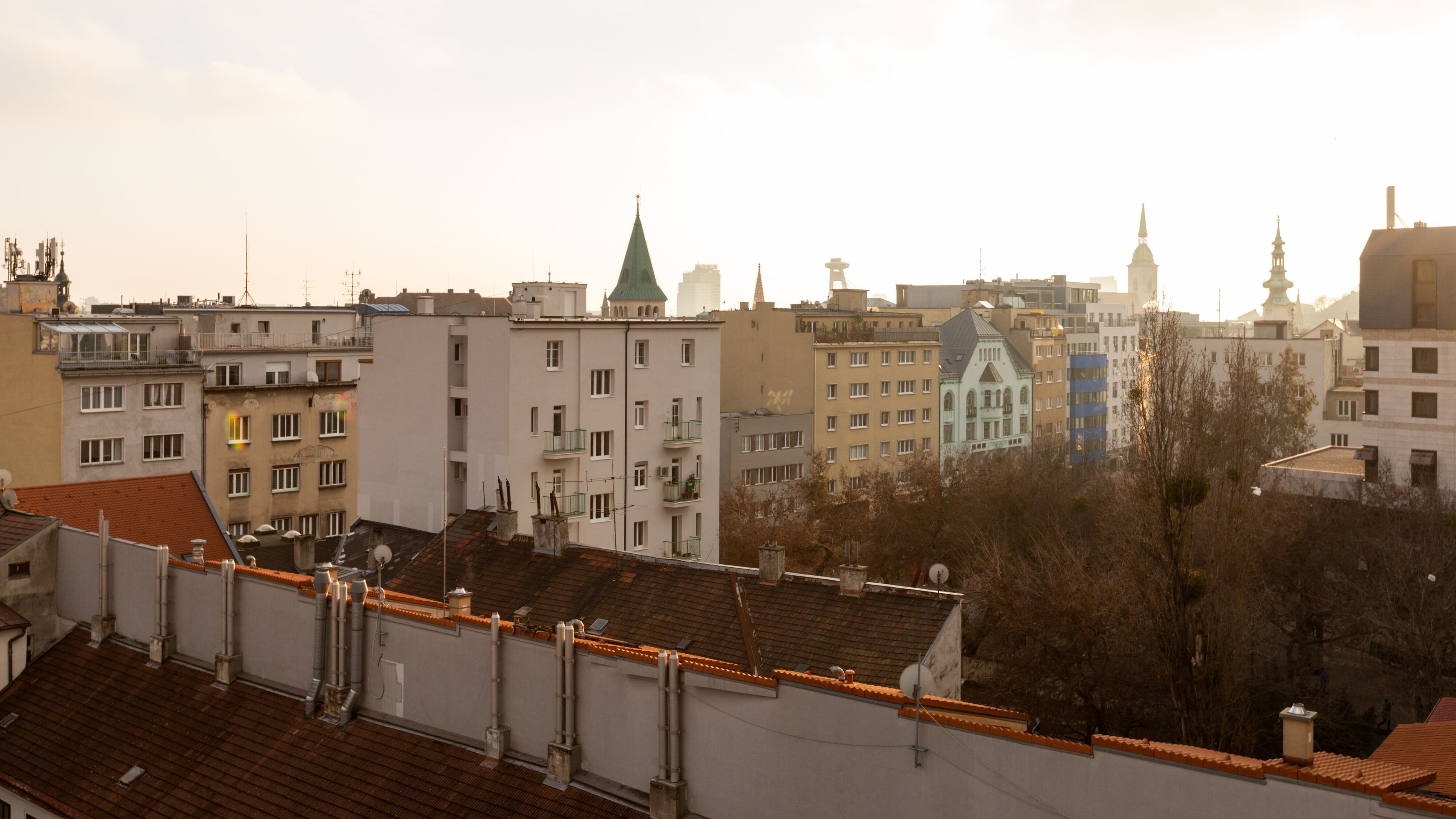 Standard - Image 3