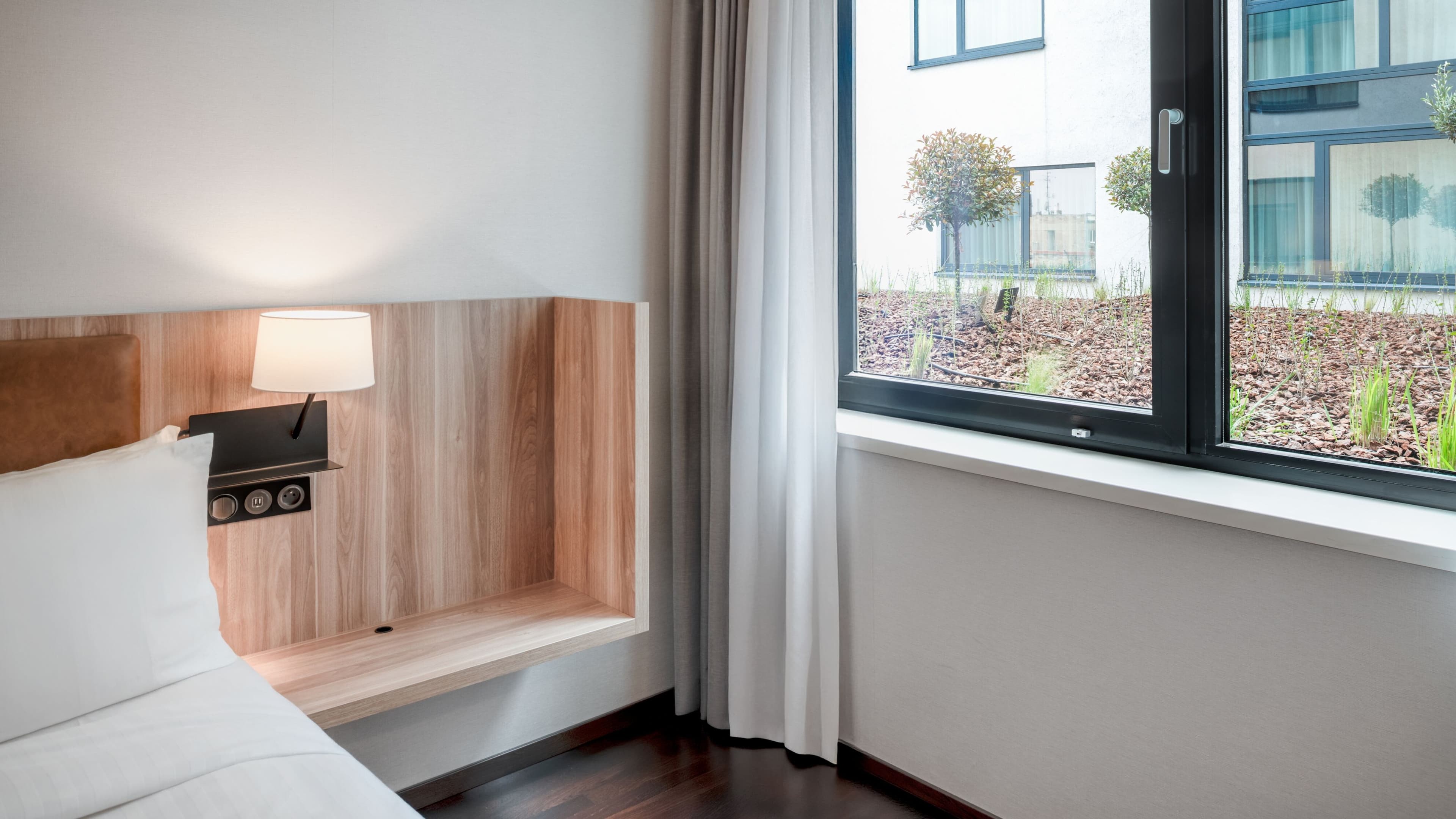 Standard - Image 4