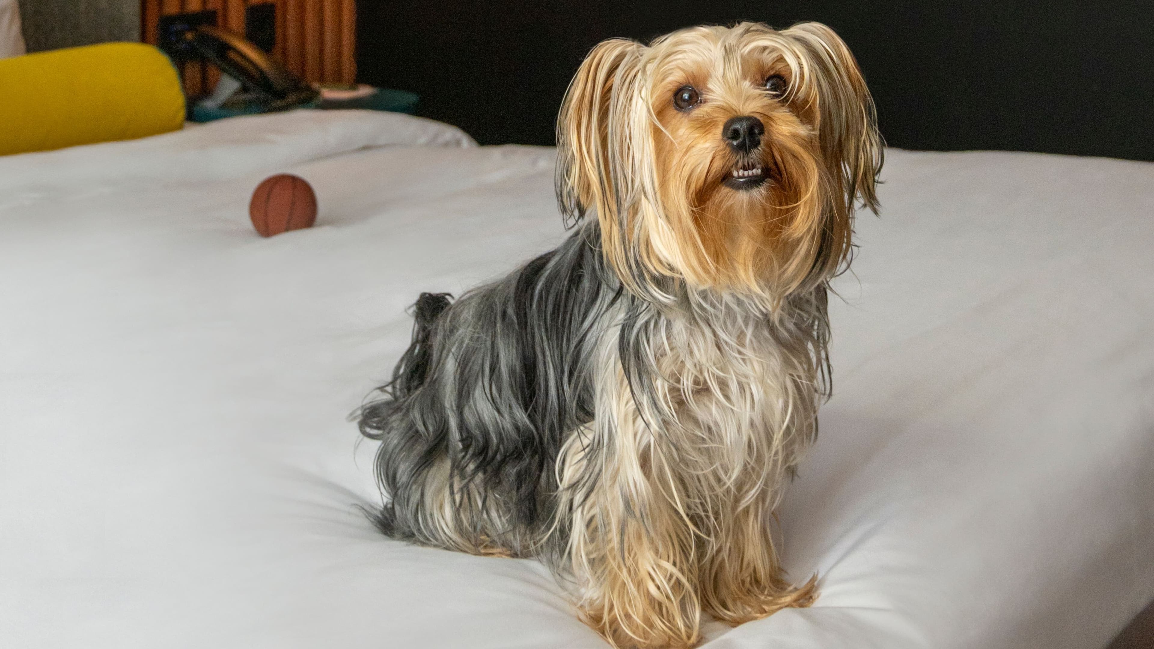 Deluxe King City View - Image 5