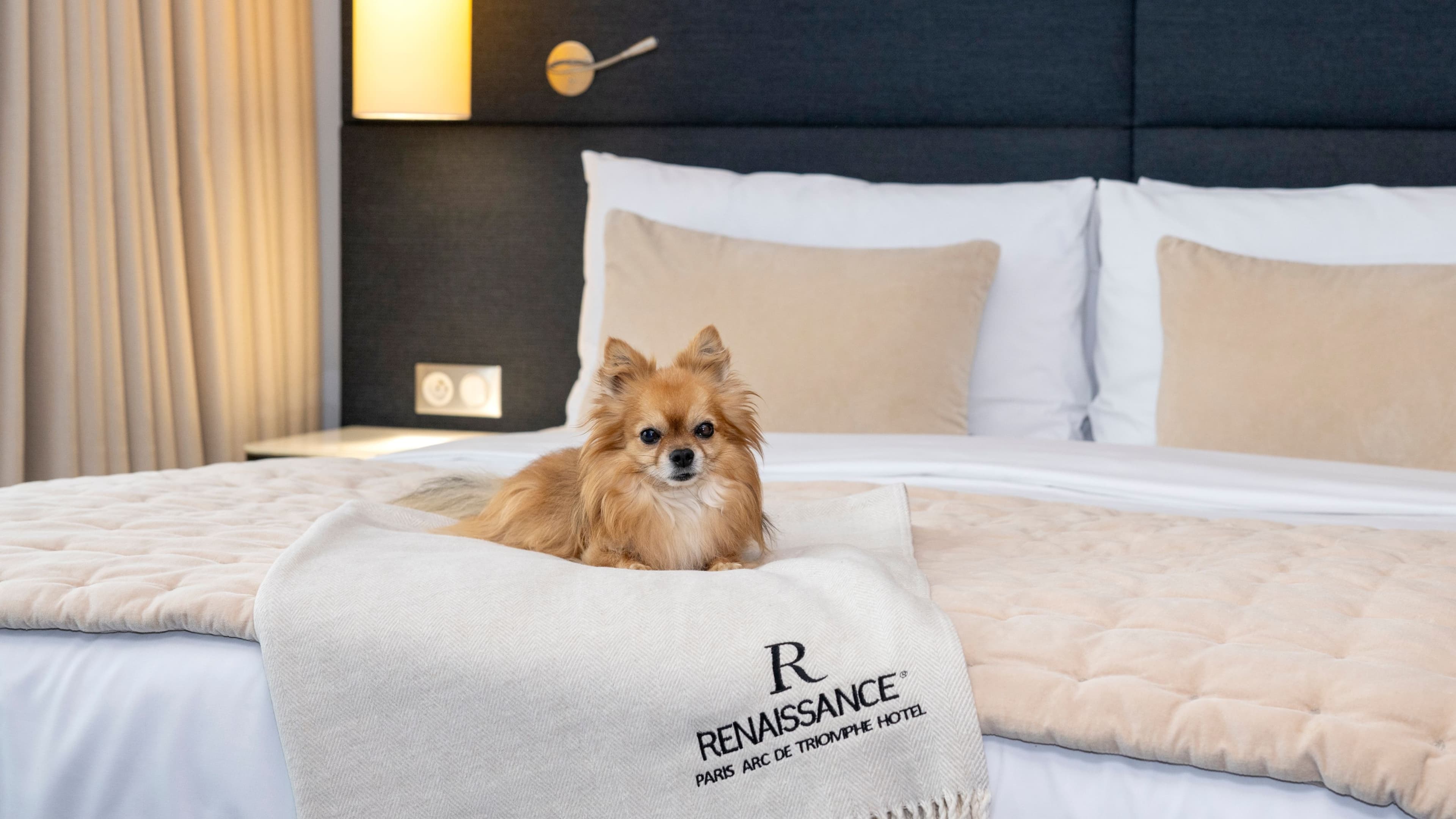 Renaissance Paris Arc de Triomphe Hotel — 21