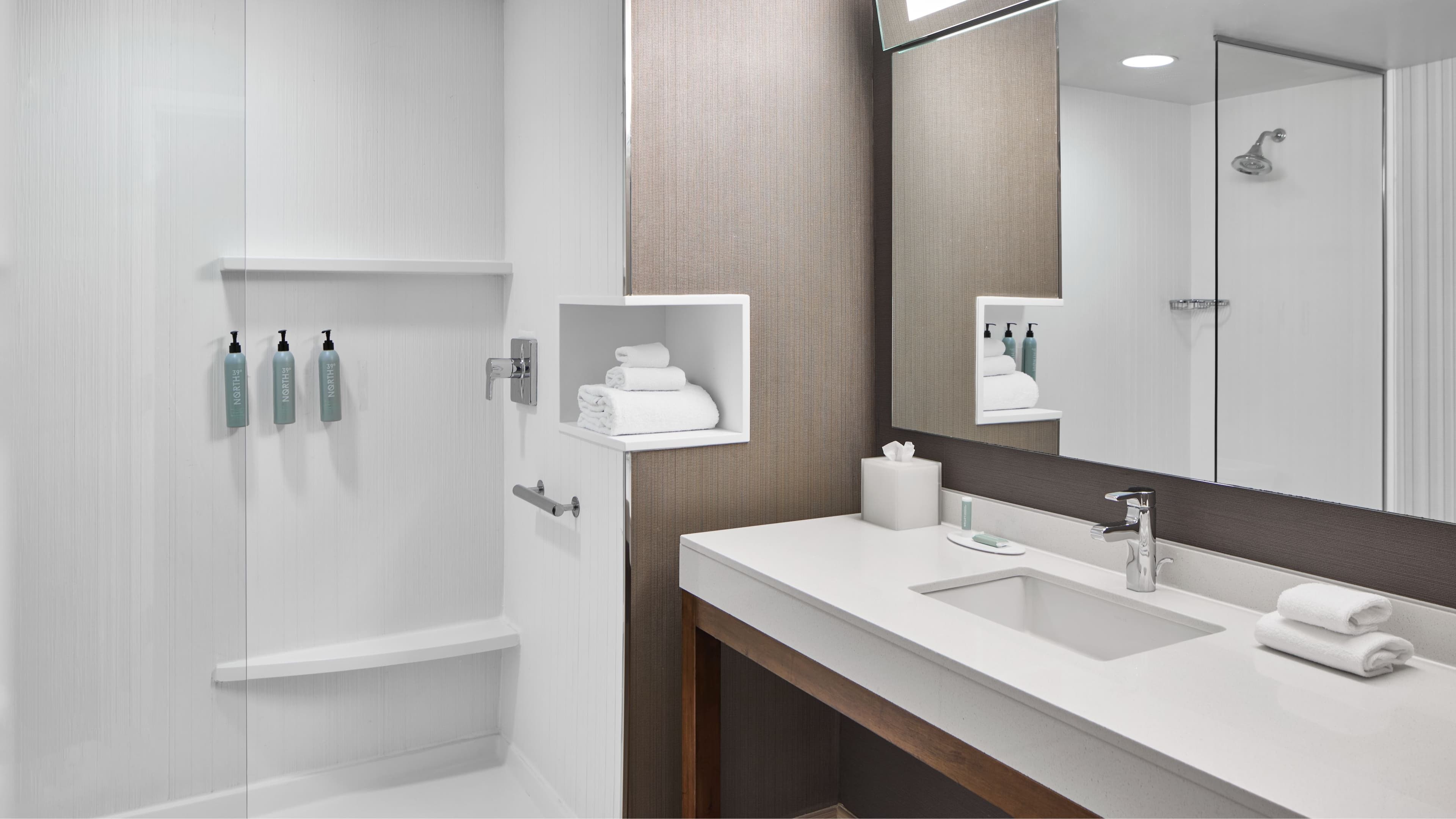 Holiday Inn Atlanta-Gas South Arena Area — 11