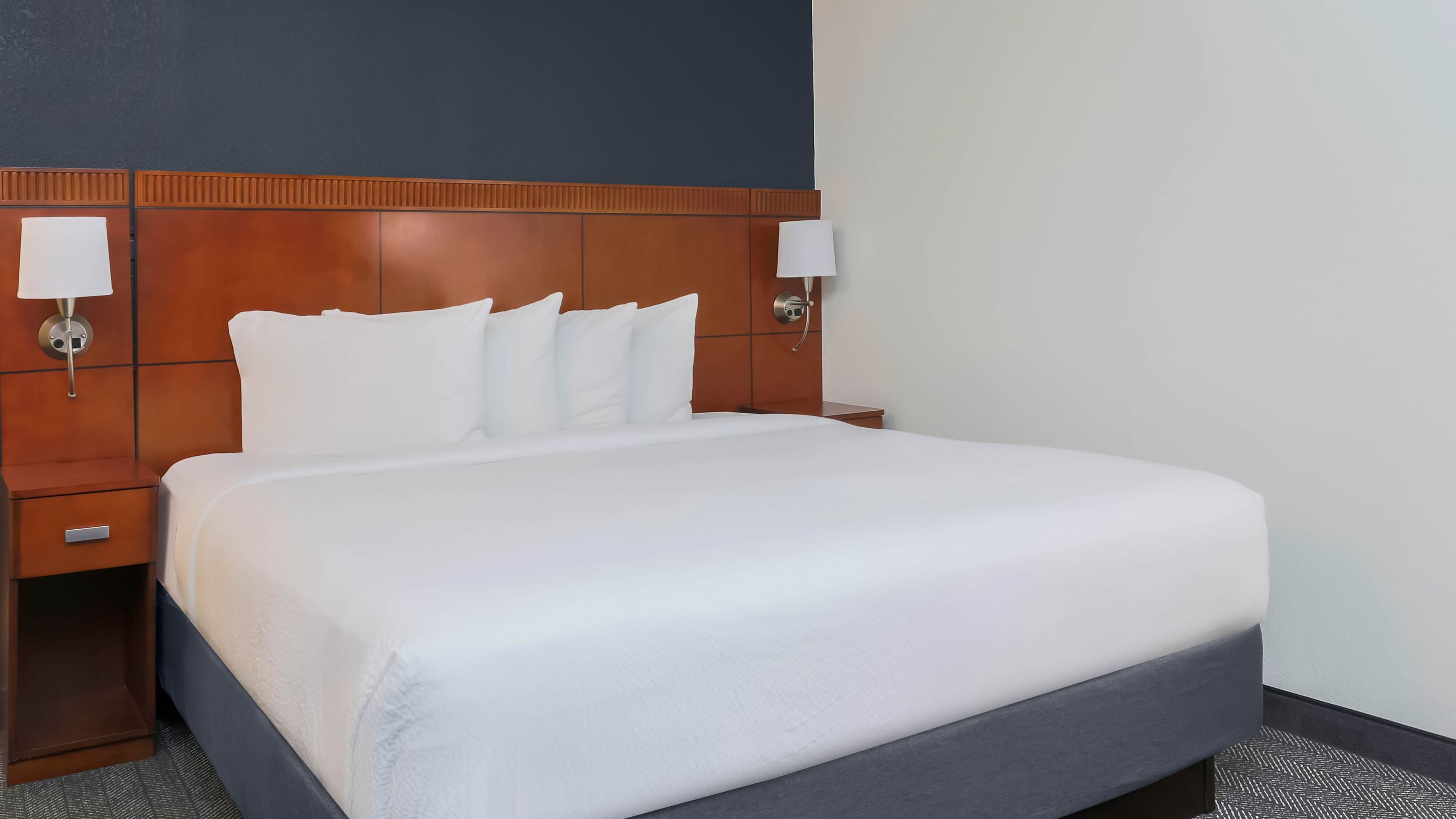 Holiday Inn Express & Suites Austin South — 12
