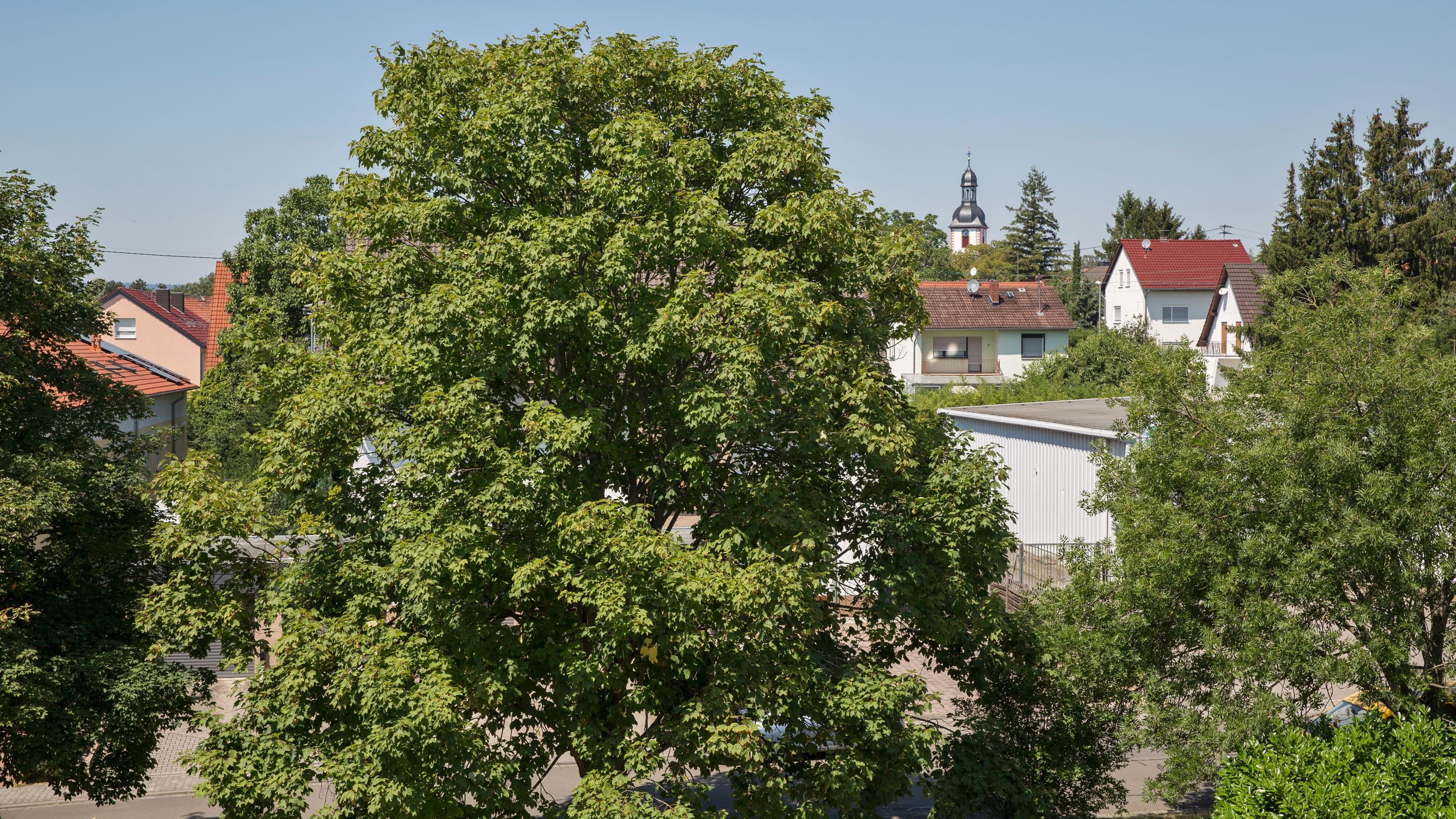 Courtyard Wiesbaden-Nordenstadt — 7