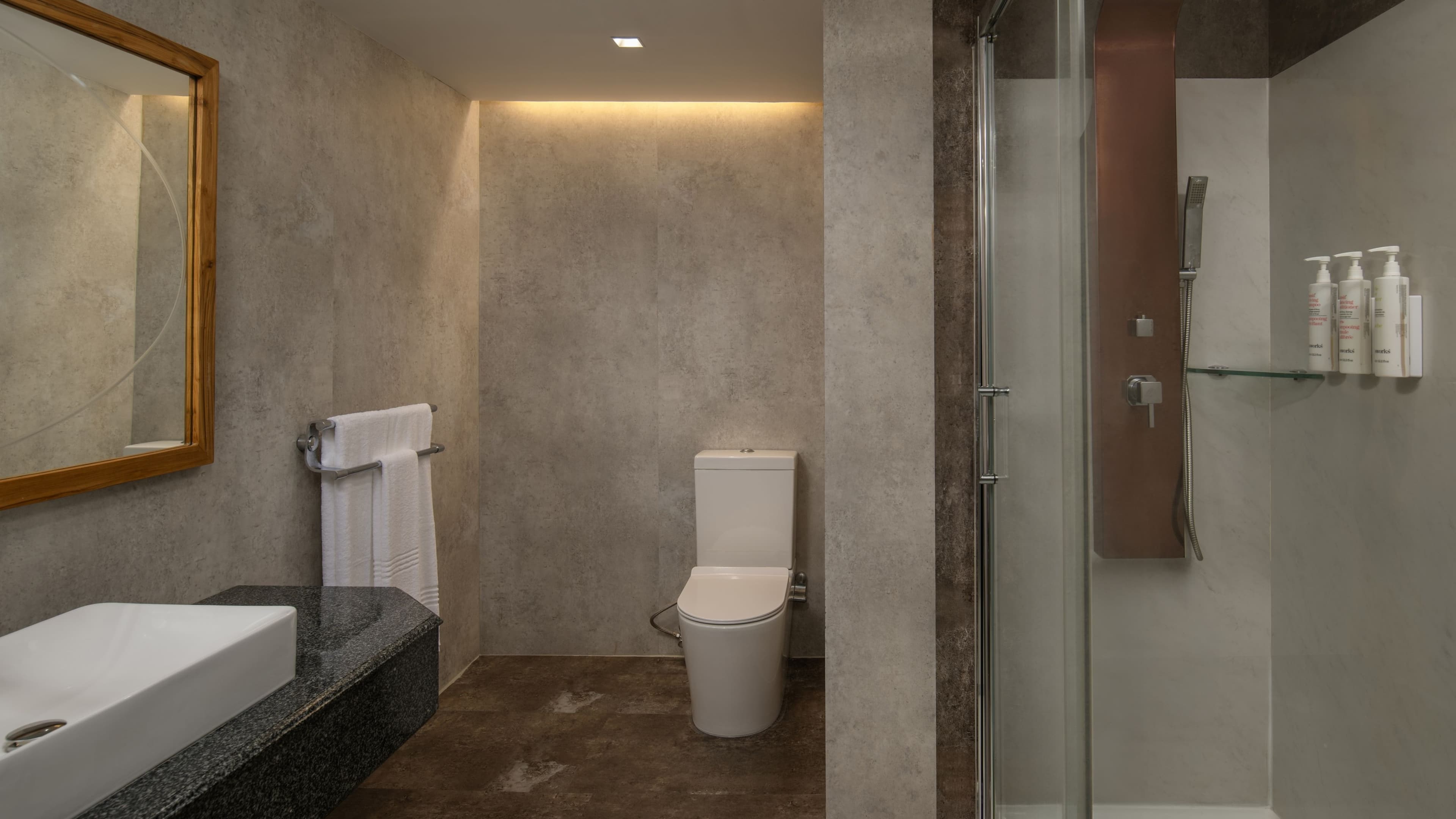 Standard - Image 2