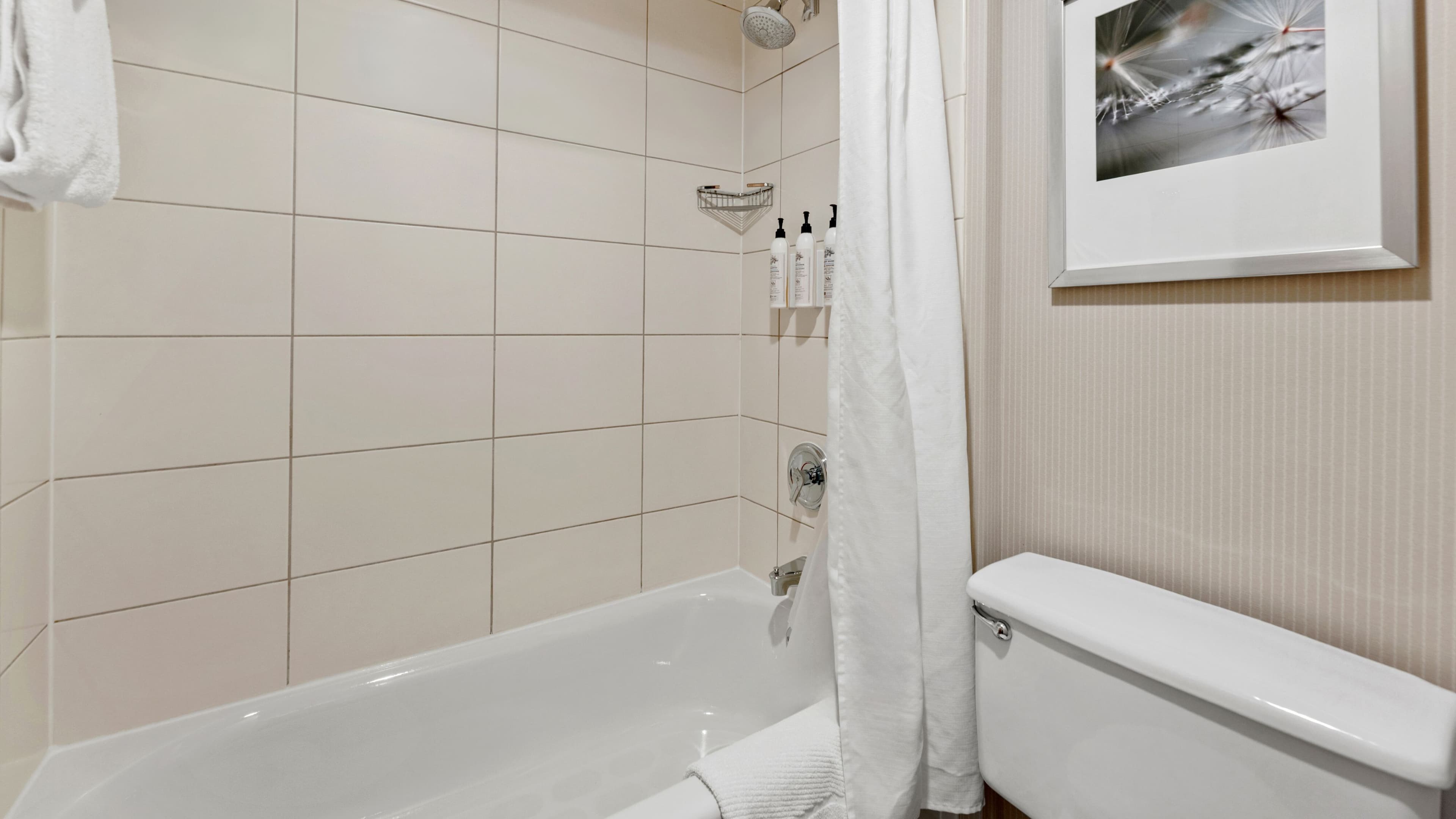 Guest room - Image 8