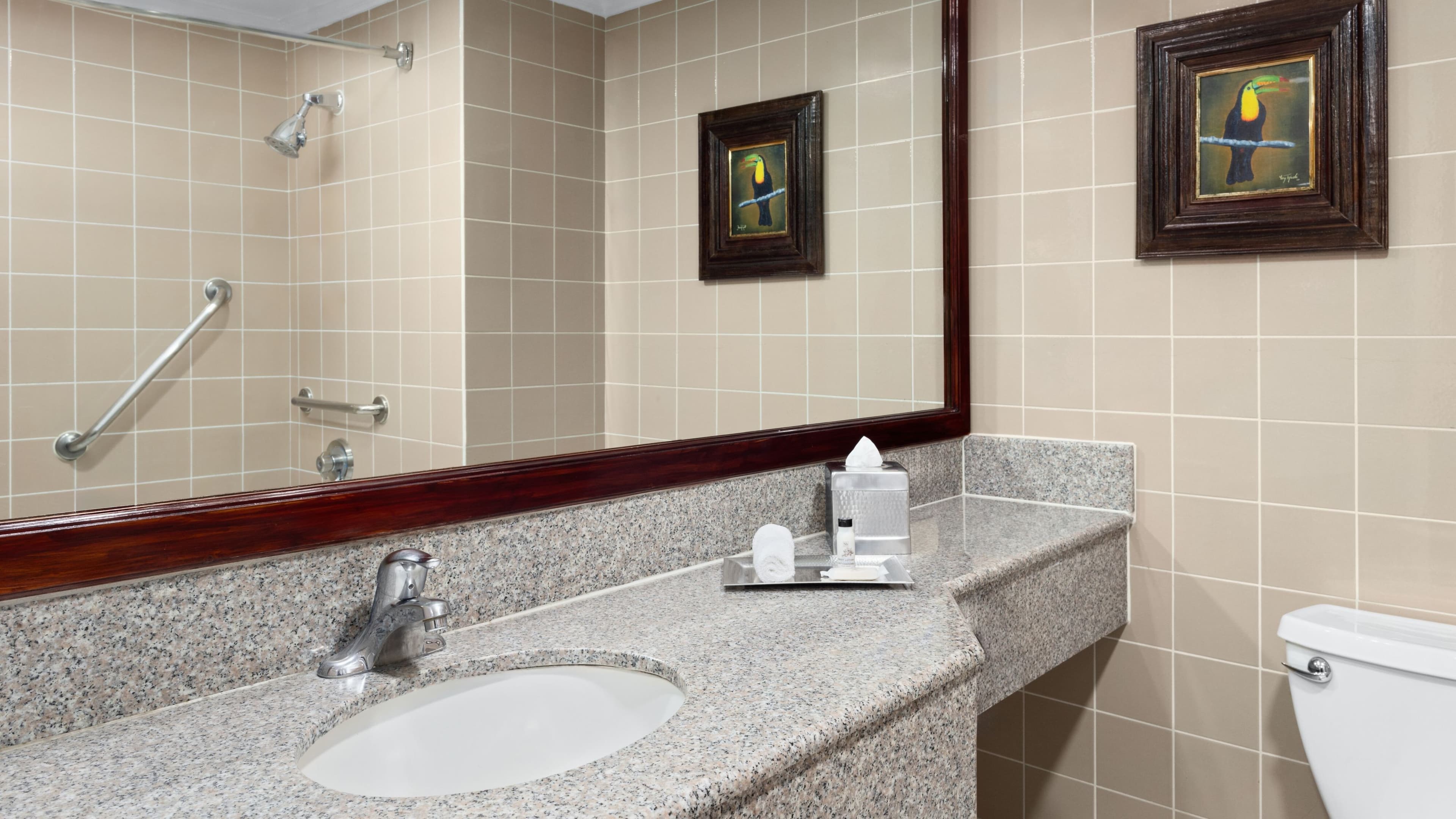 Standard - Image 6