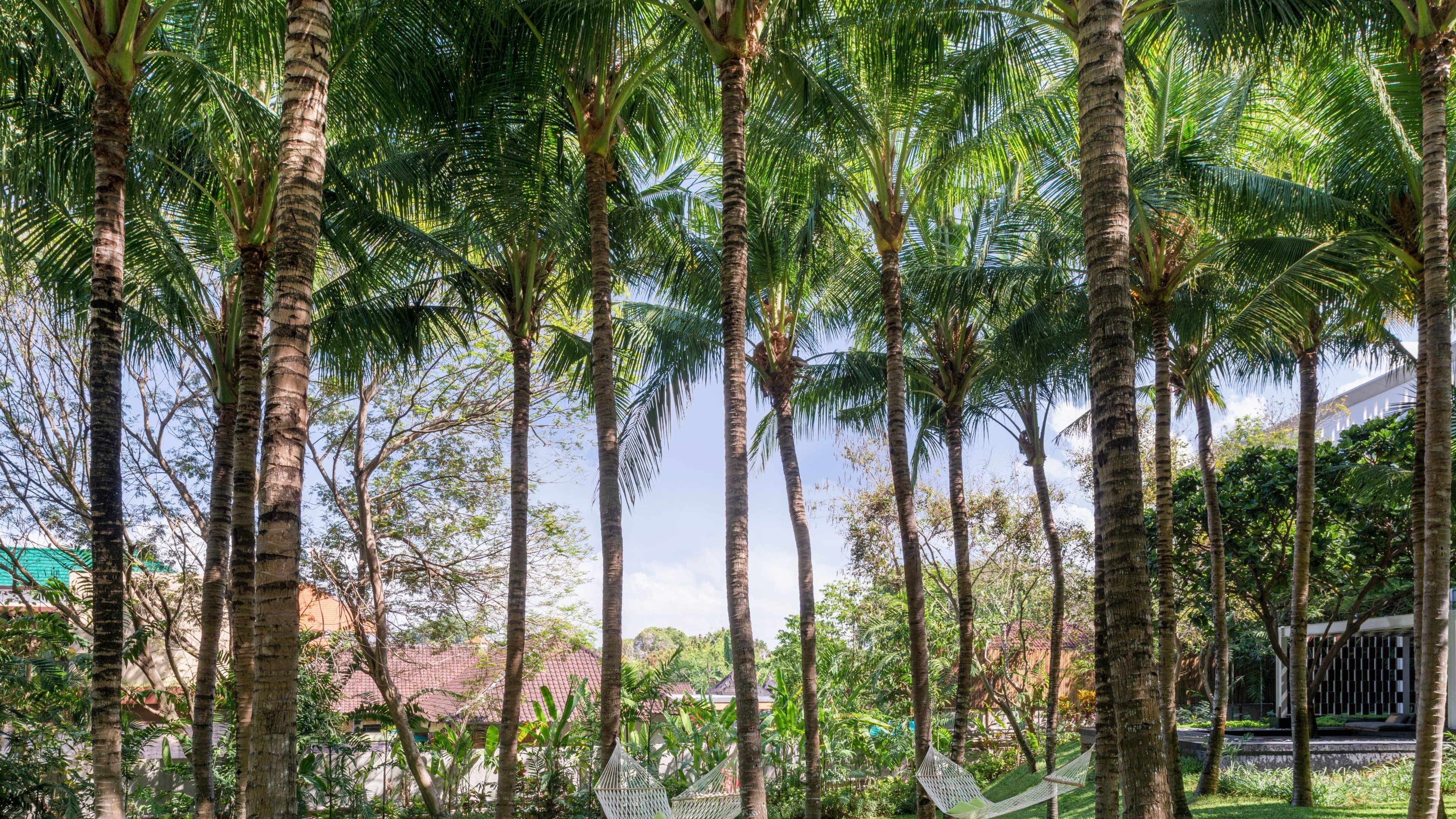 Superior Garden View - Image 3