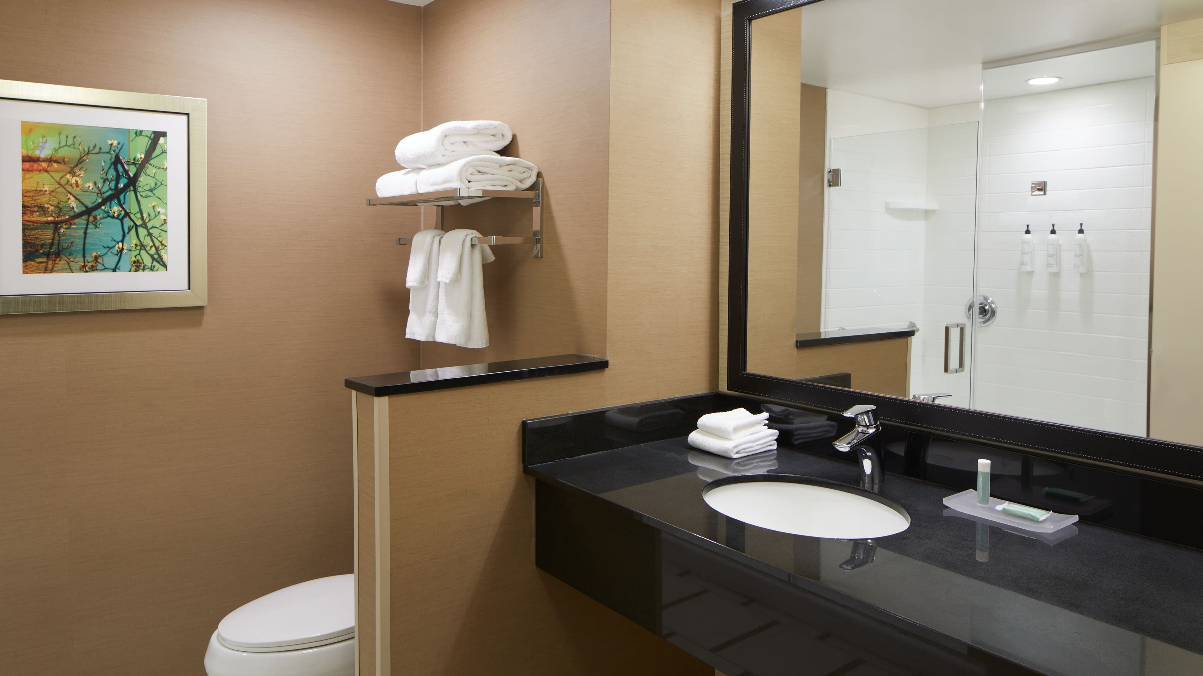 Fairfield Inn & Suites Atlanta Lithia Springs — 6