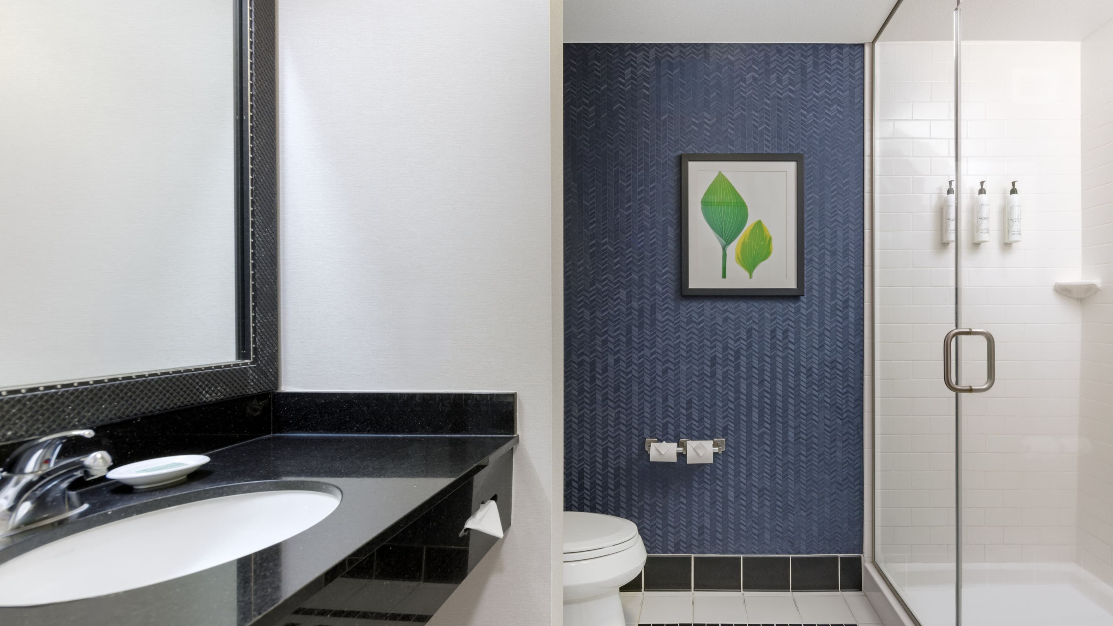 Suite - Image 6