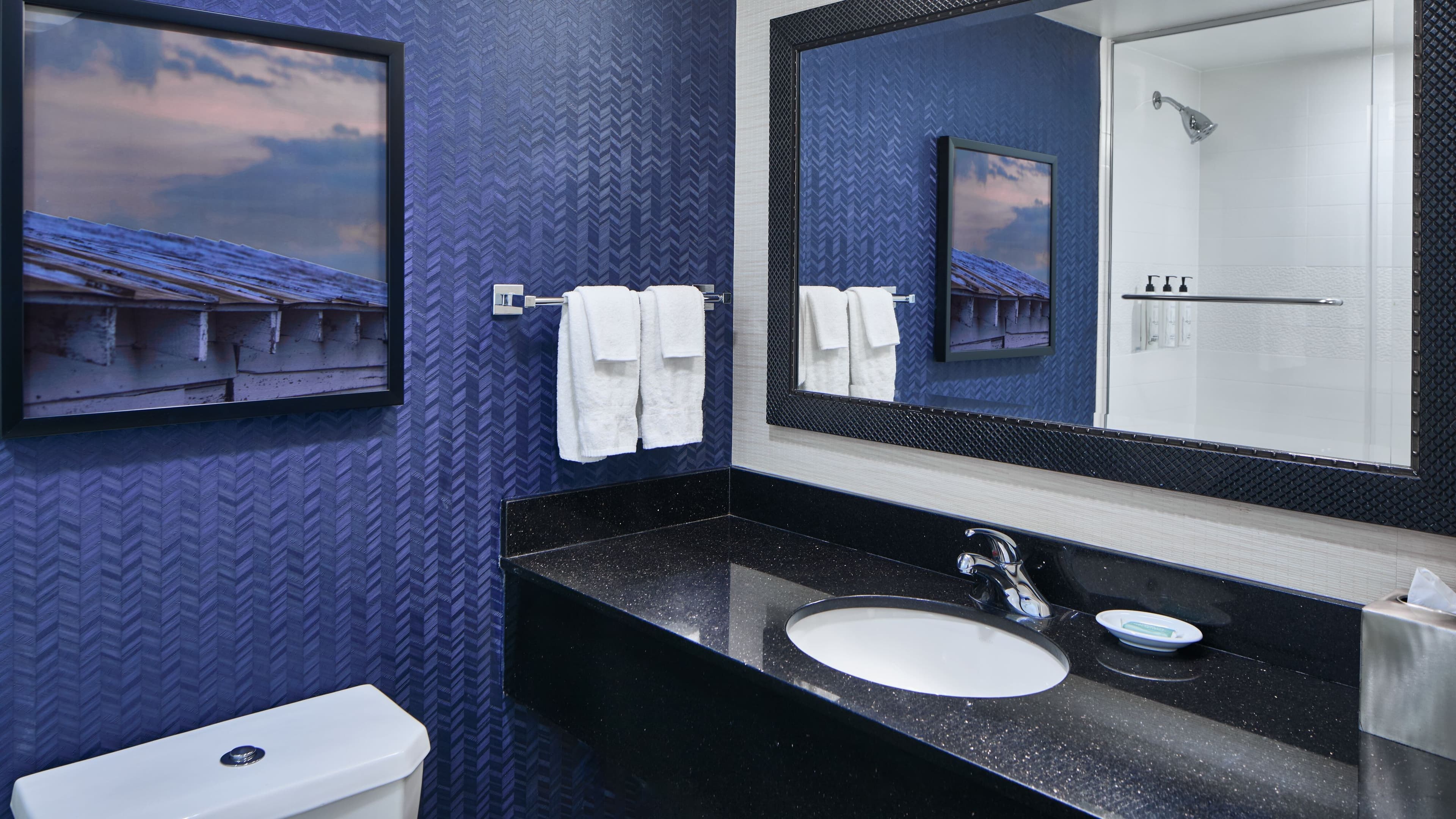 Holiday Inn Express & Suites Rochester Webster — 10