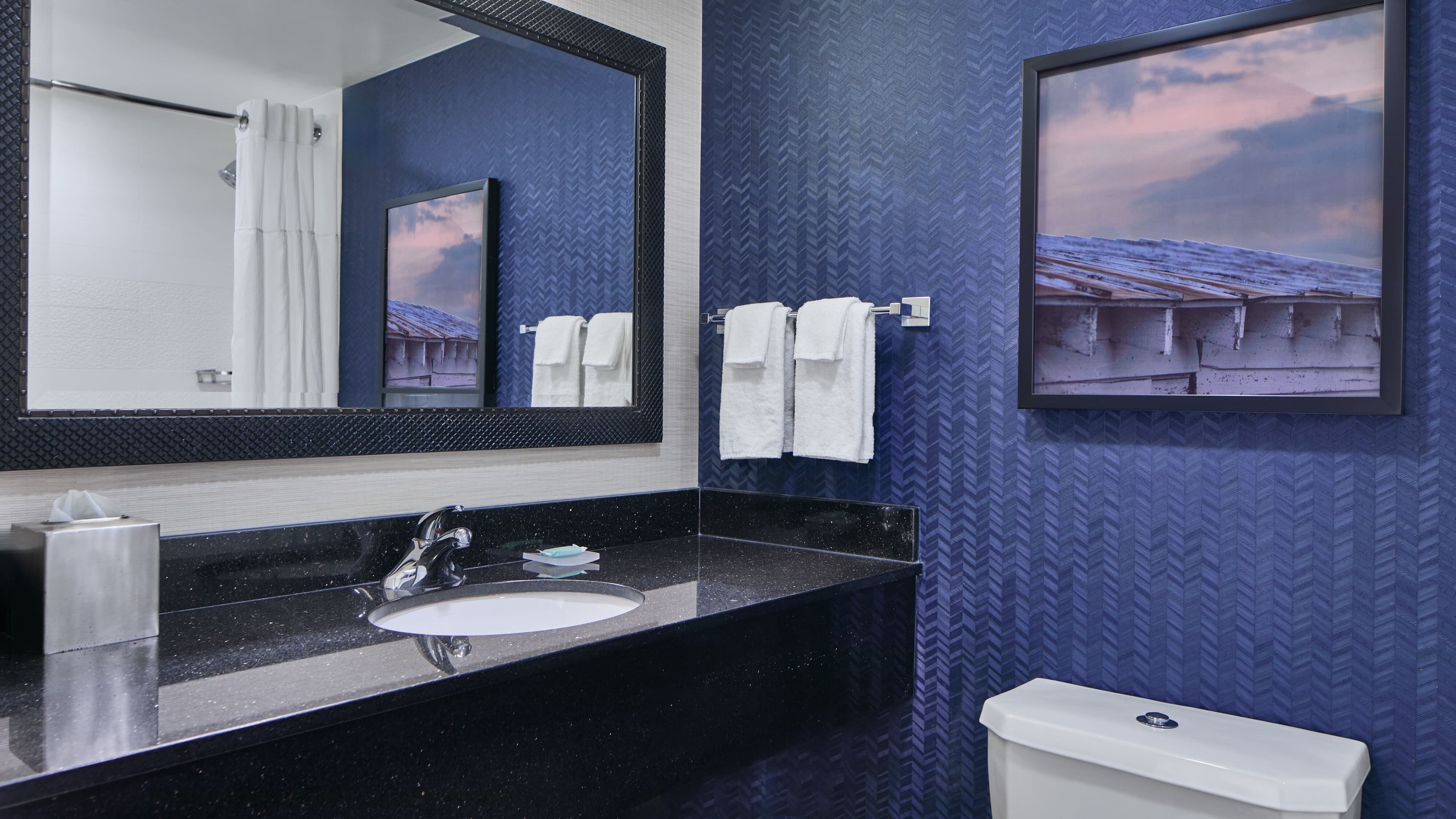 Holiday Inn Express & Suites Rochester Webster — 11