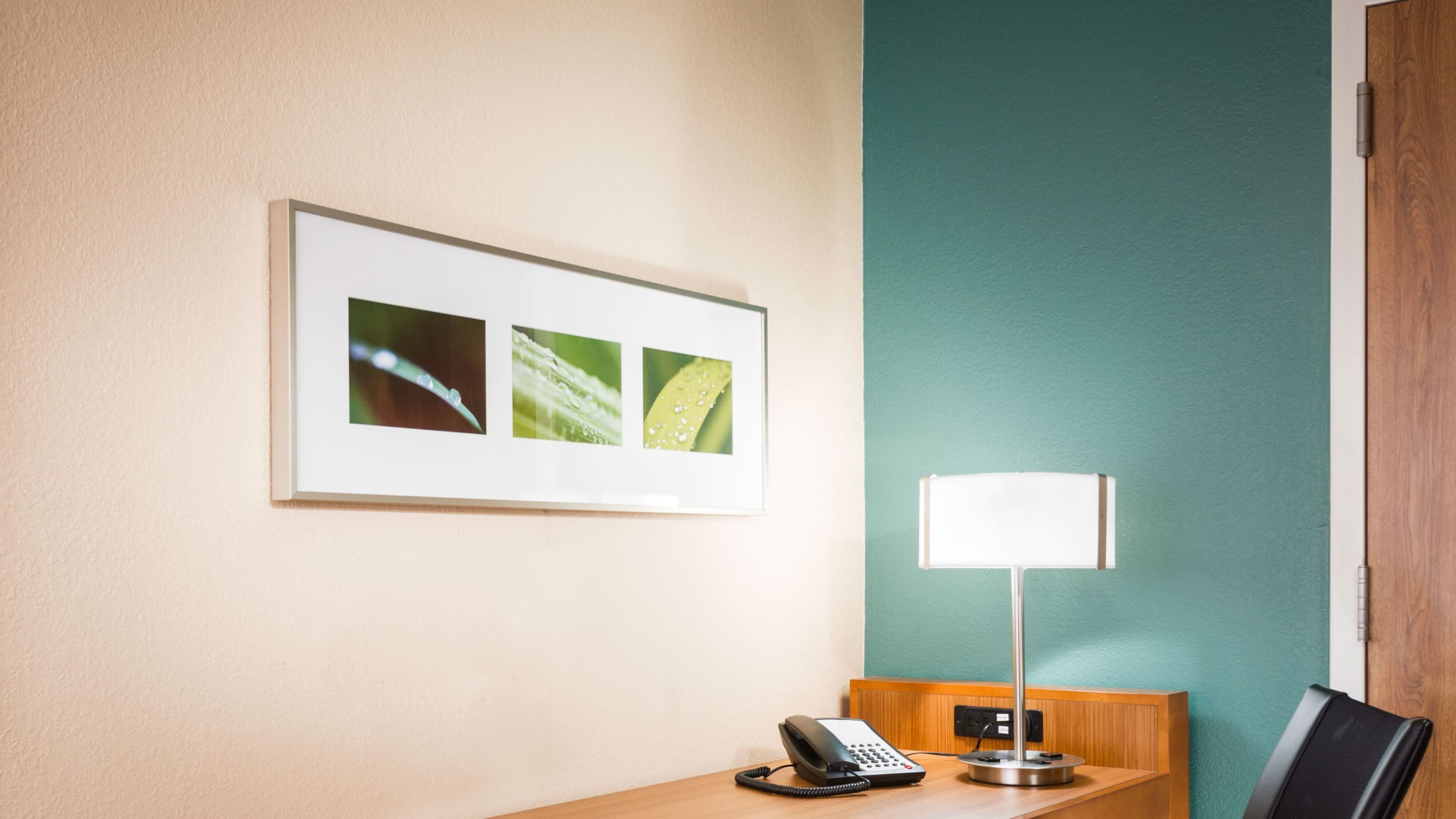 Suite - Image 6