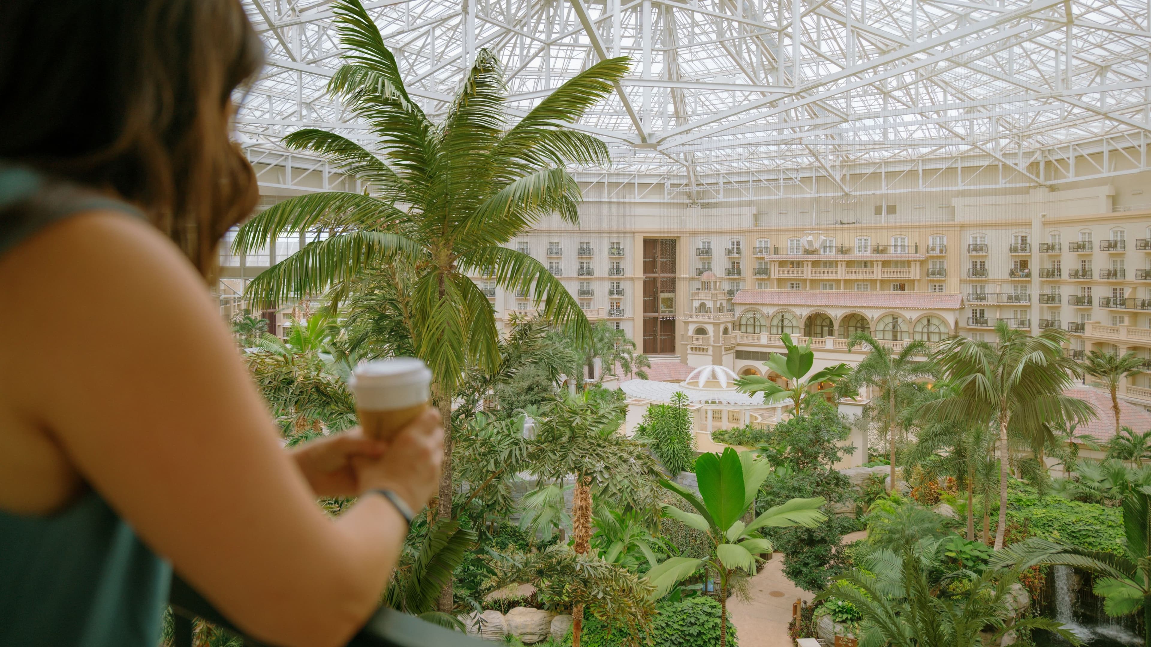 Gaylord Palms Resort & Convention Center — 14