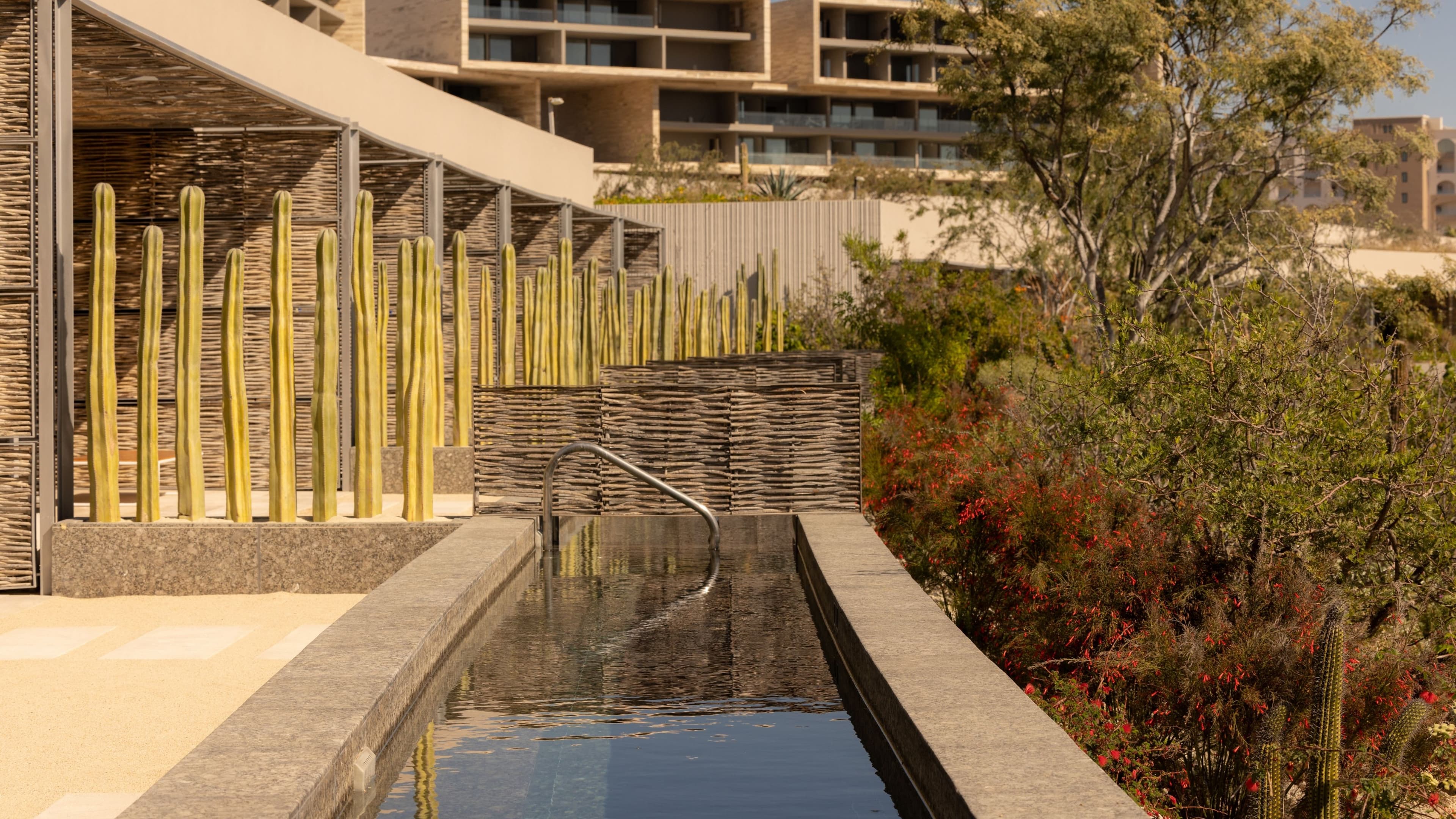 Solaz, a Luxury Collection Resort, Los Cabos - Image 2