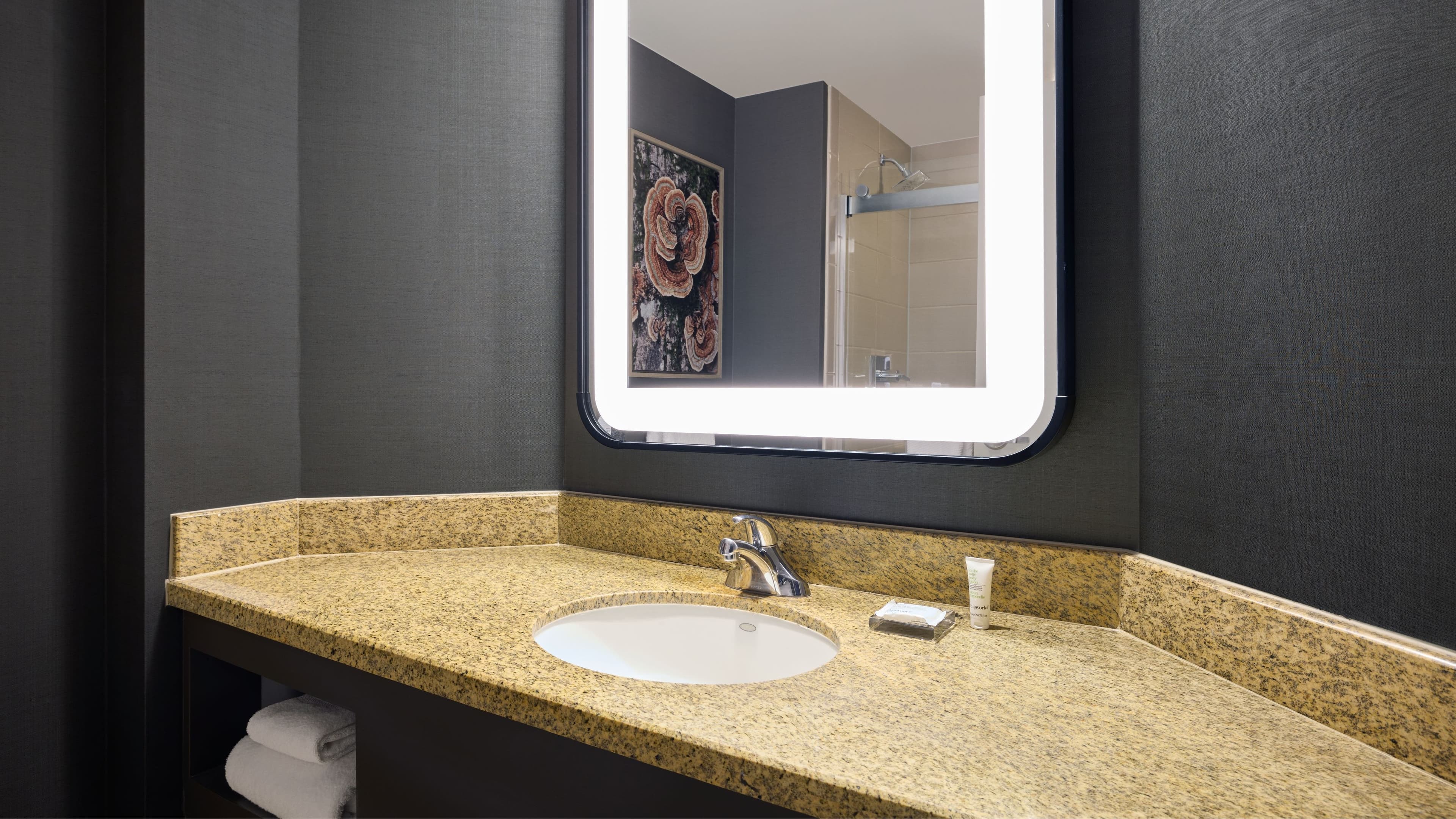 Denver Marriott South at Park Meadows - Image 5