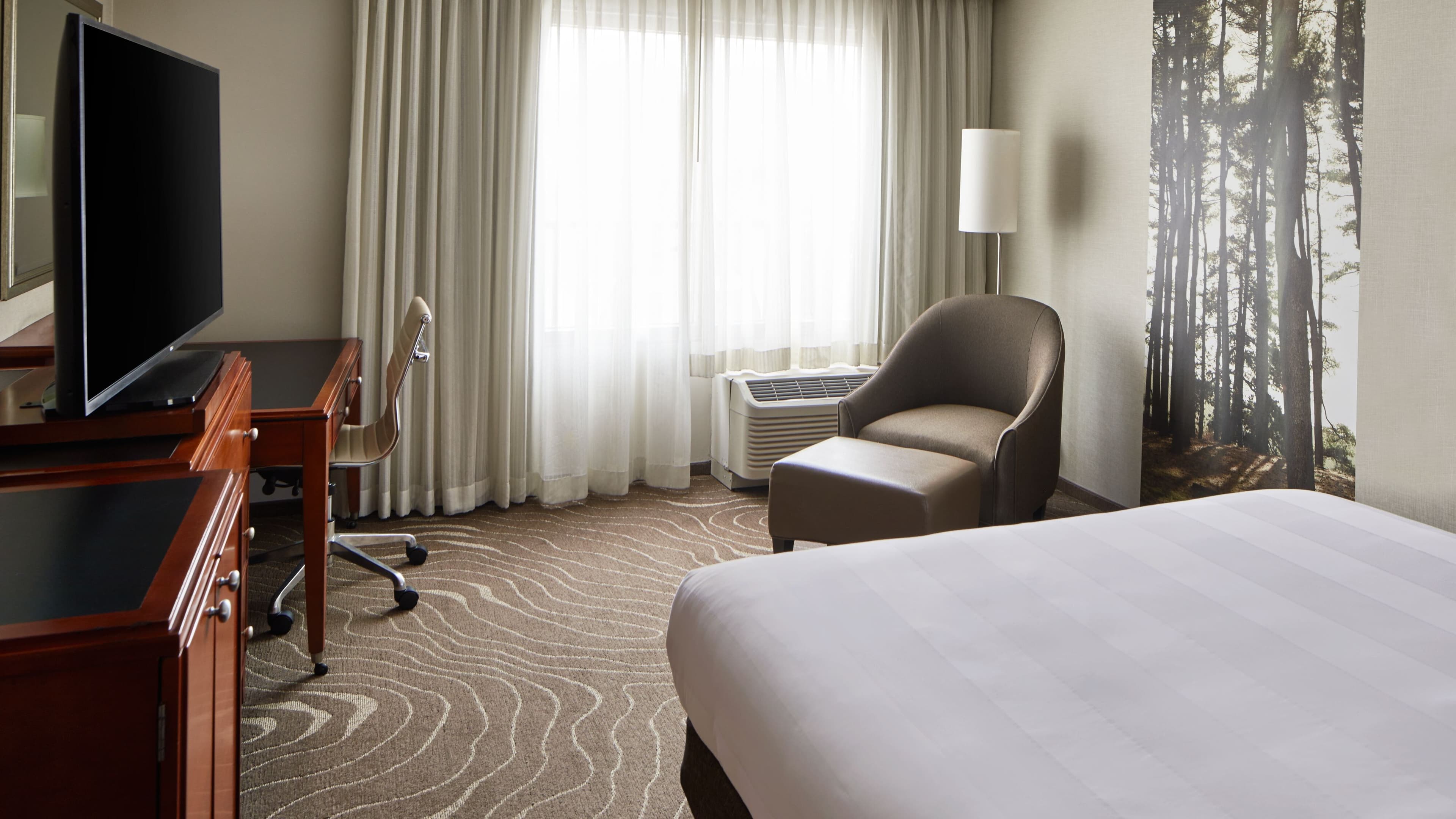 Detroit Metro Airport Marriott — 15