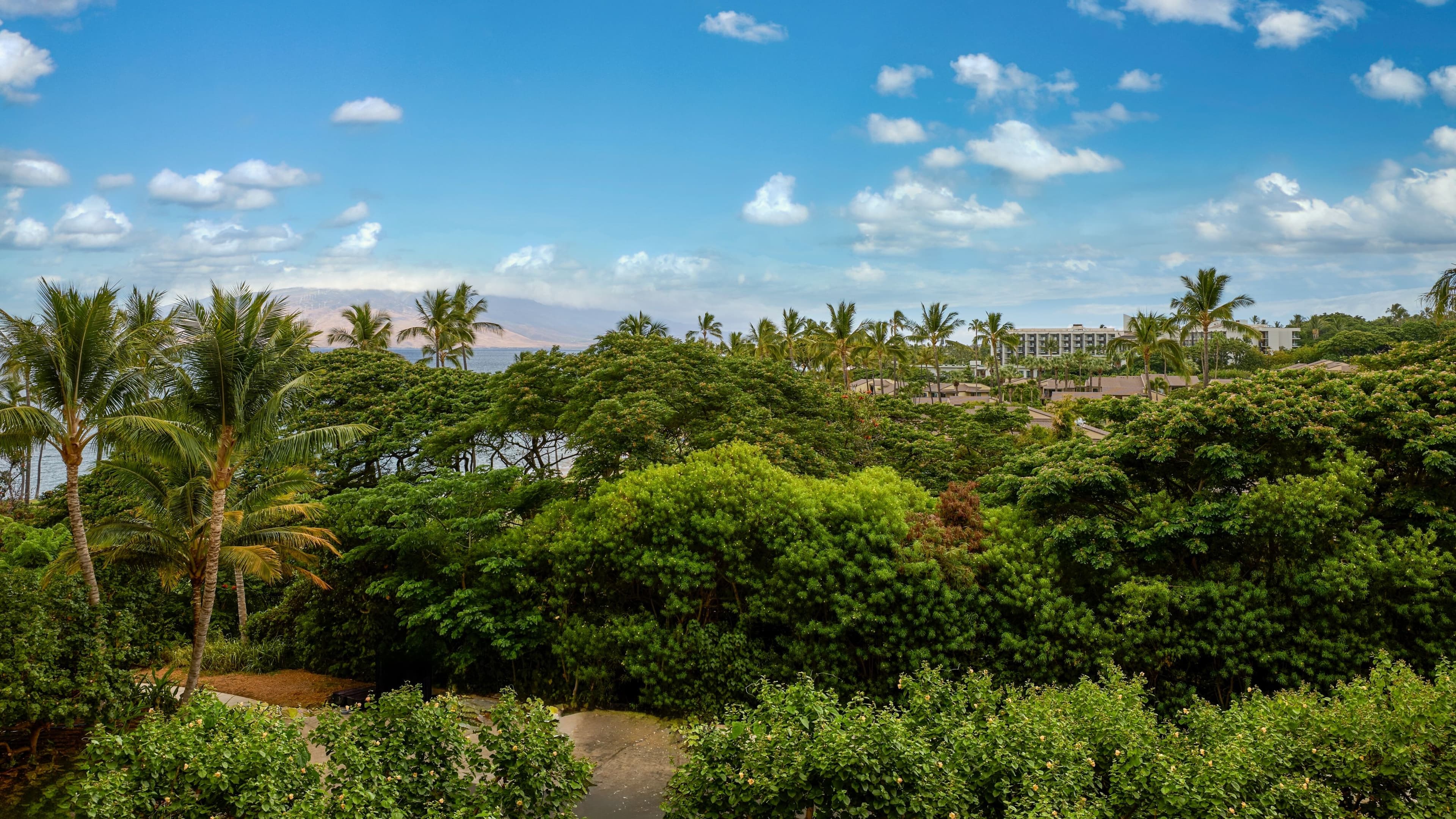 Wailea Beach Resort - Marriott, Maui — 48