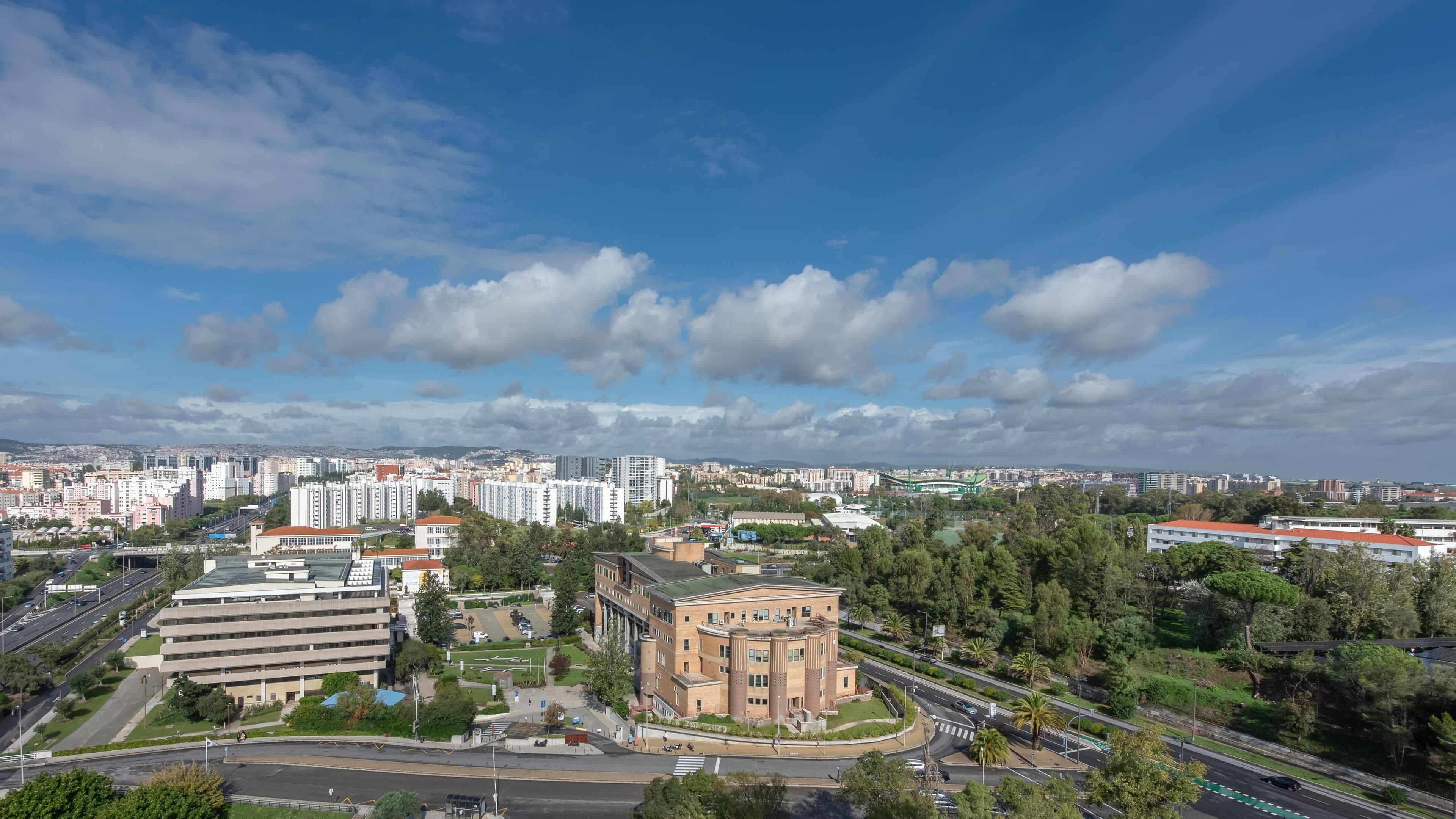 Comfort King - Image 3