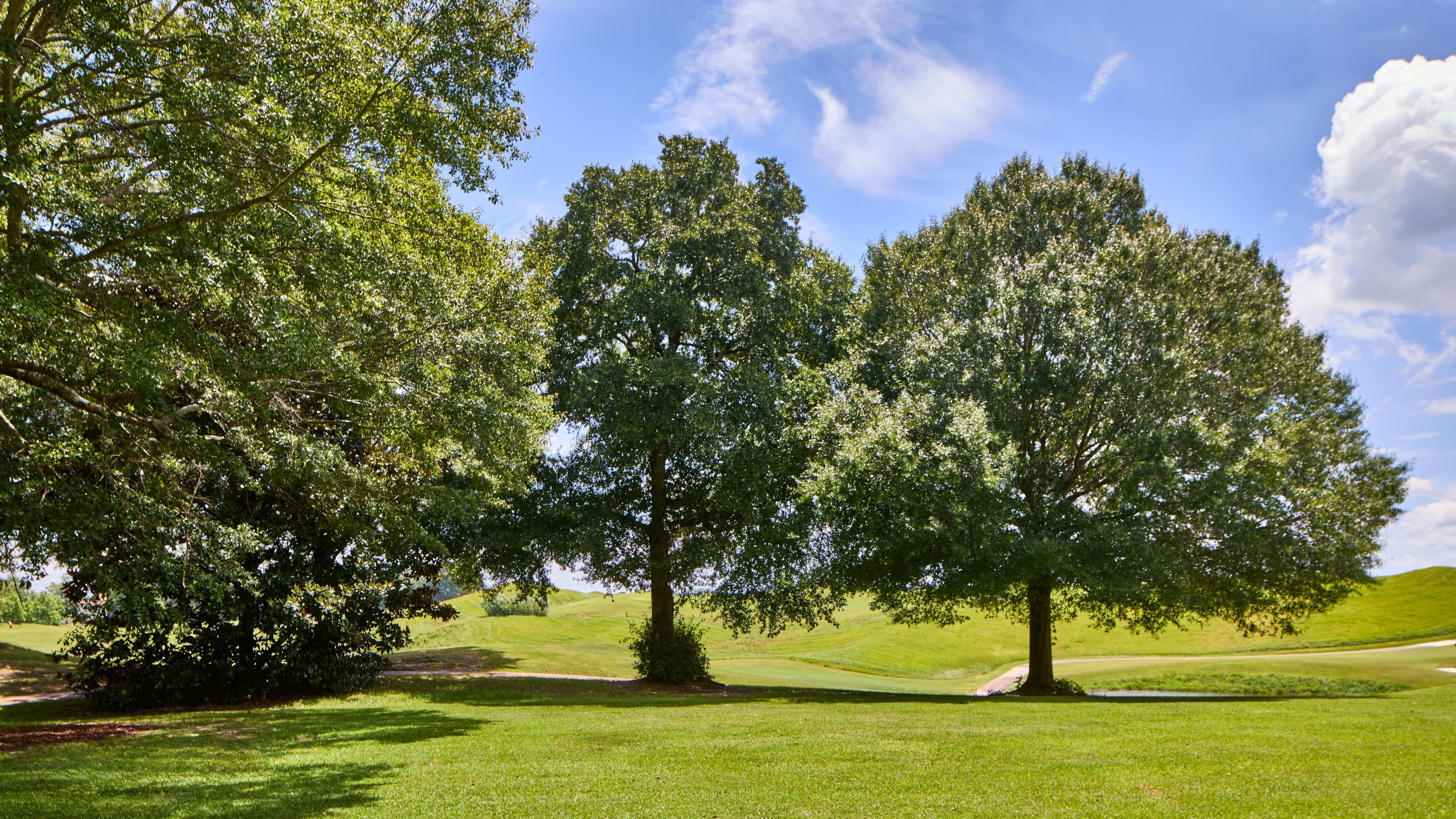Montgomery Marriott Prattville Hotel & Conference Center at Capitol Hill — 16