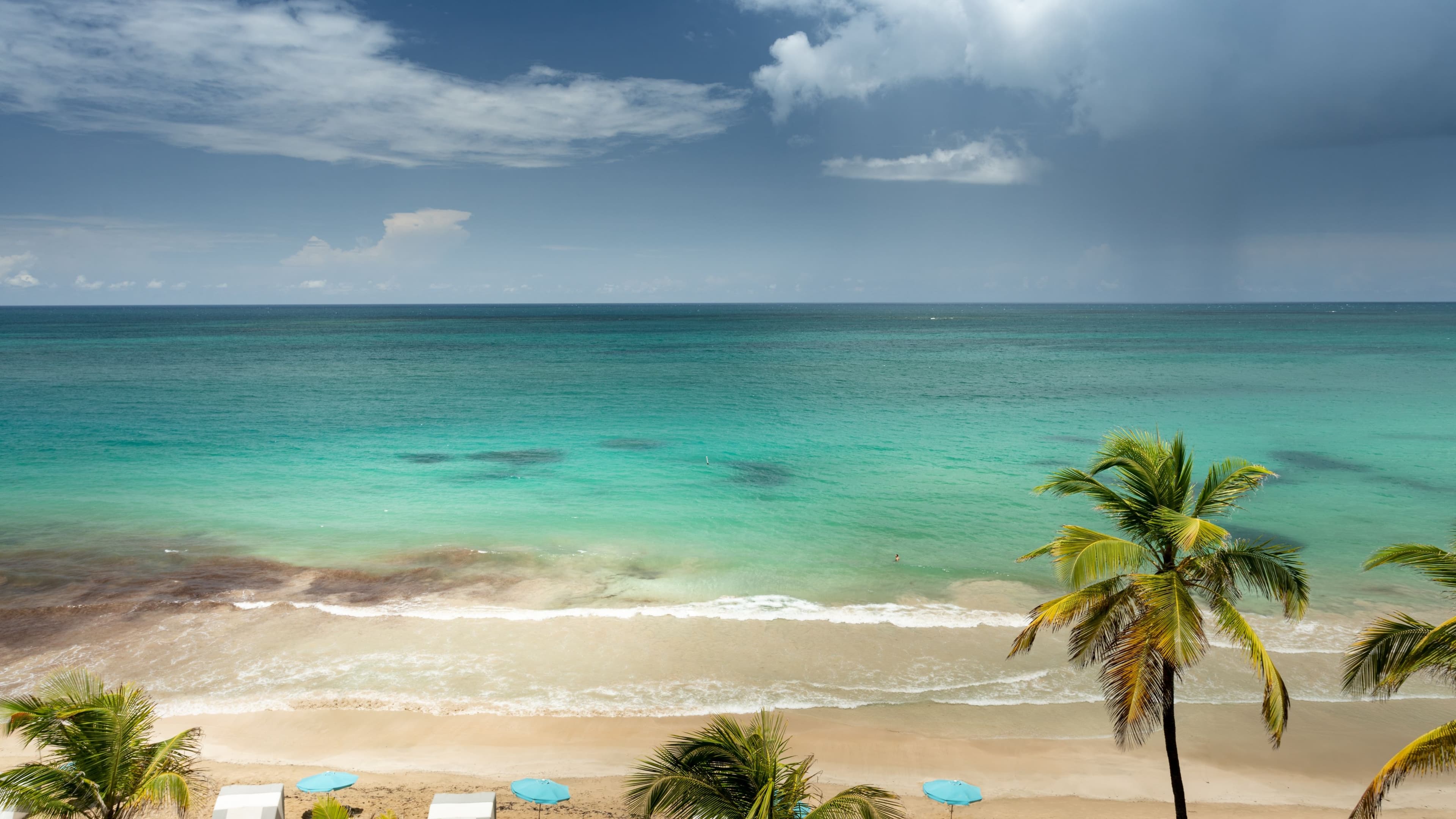 San Juan Marriott Resort & Stellaris Casino - Image 3