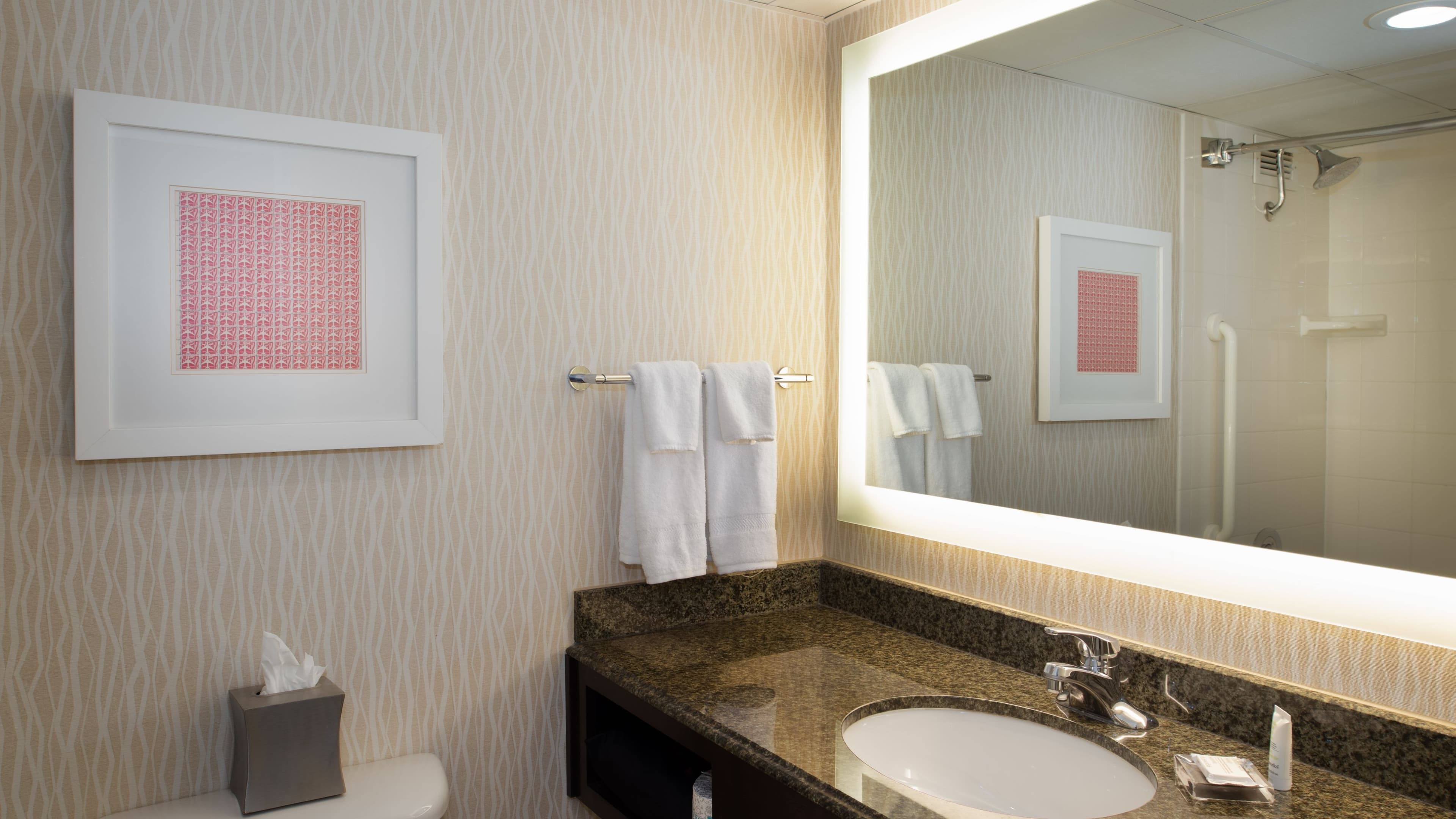 Crowne Plaza St. Louis Airport — 31