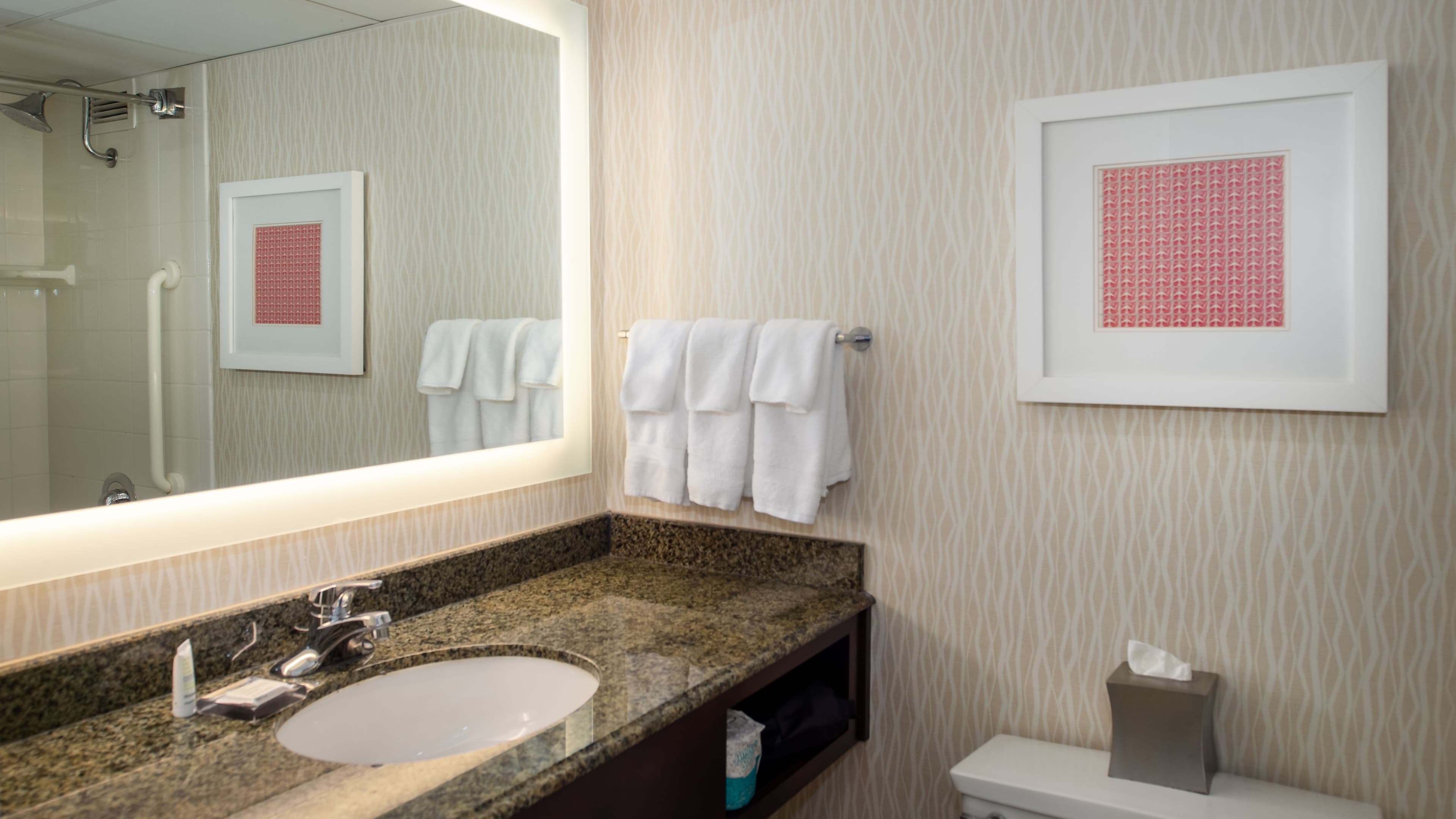 Crowne Plaza St. Louis Airport — 11