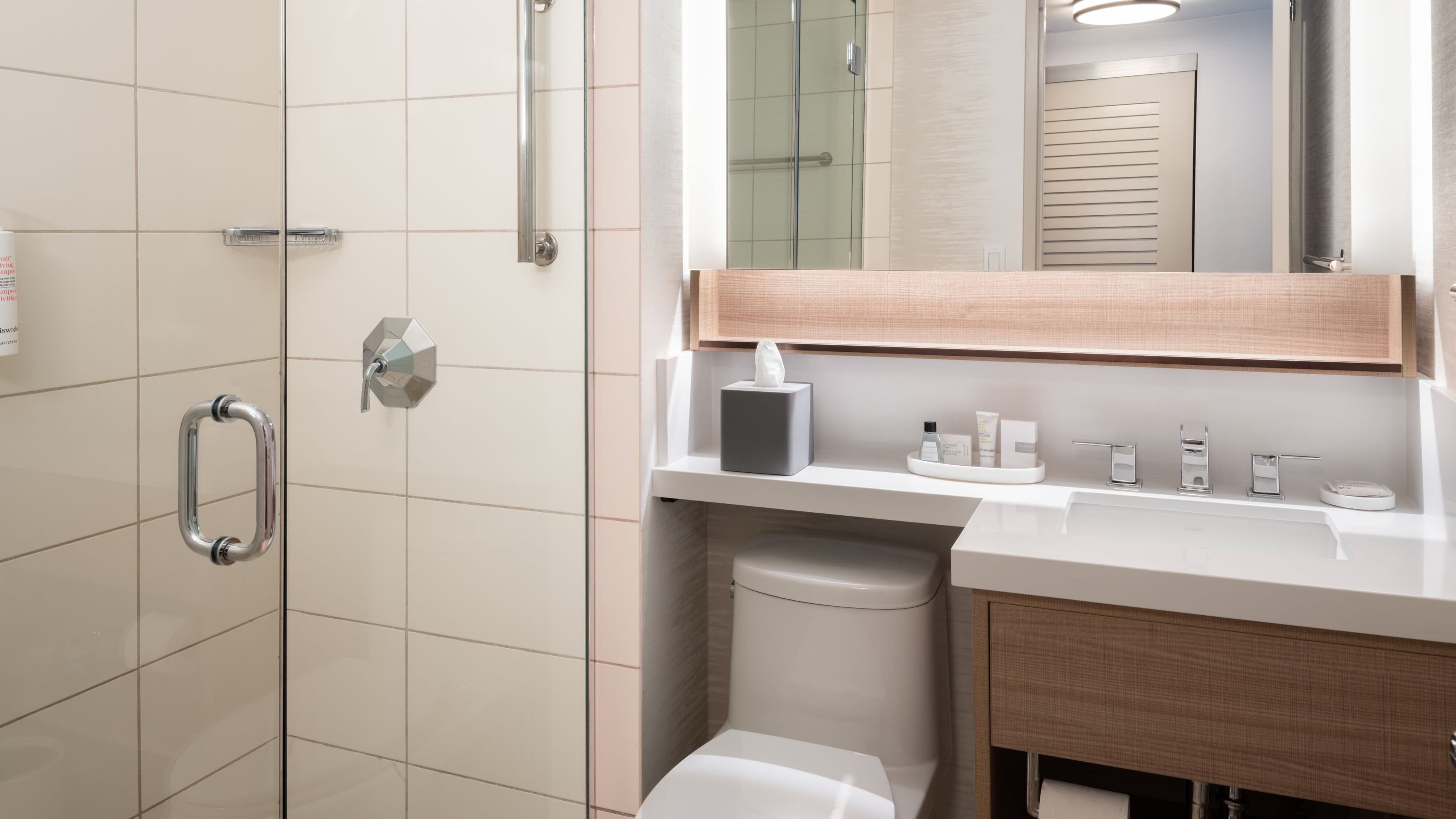 Holiday Inn Express & Suites Tampa Airport — 12