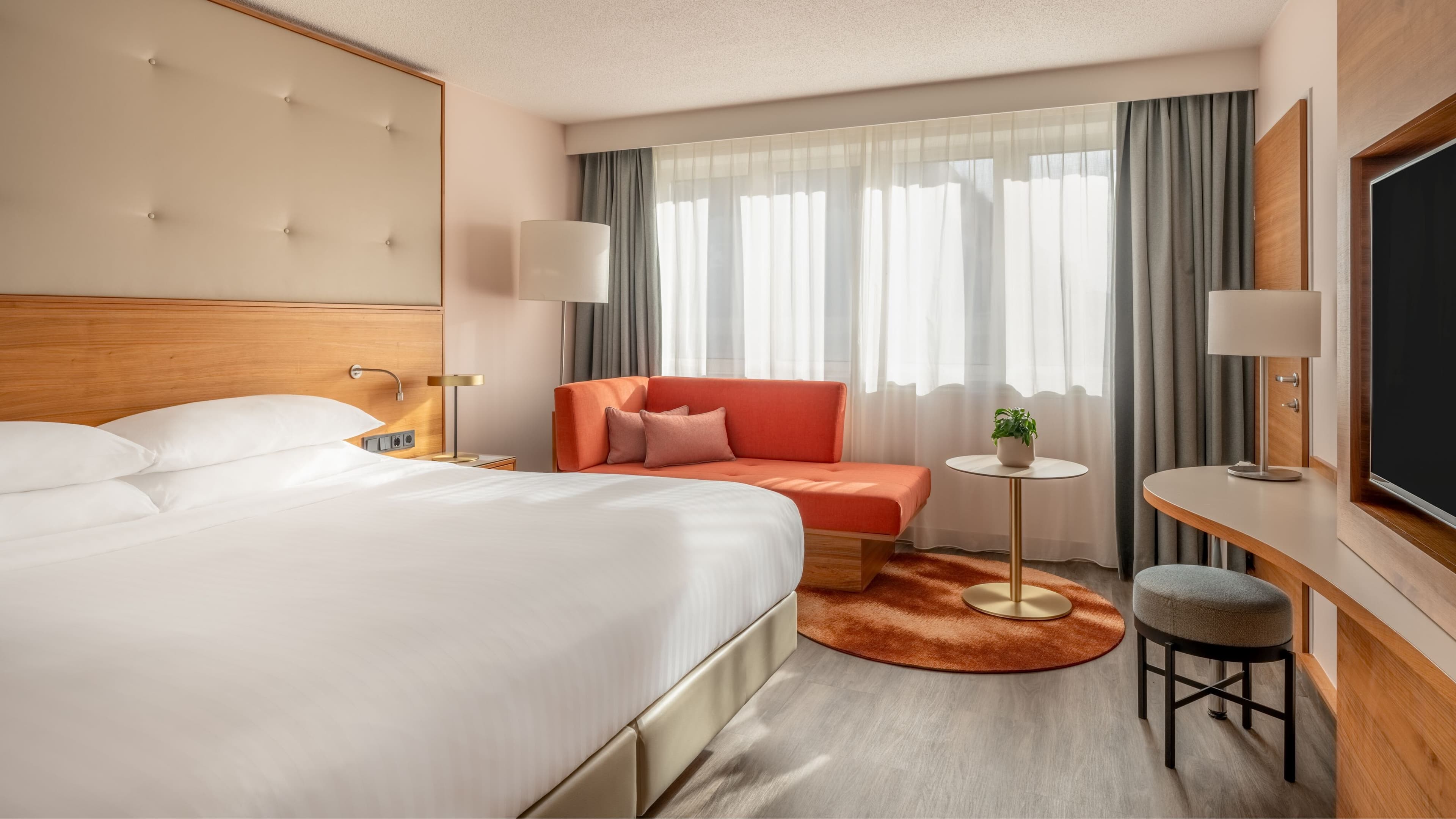 Executive Room - Image 2