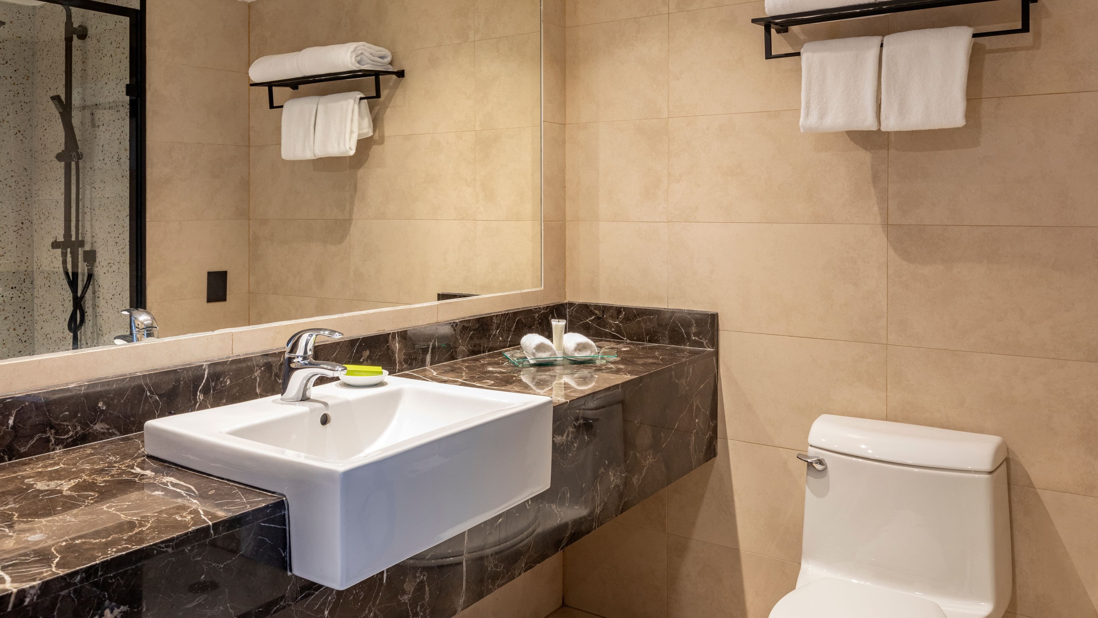 Le Méridien Santiago - Image 5