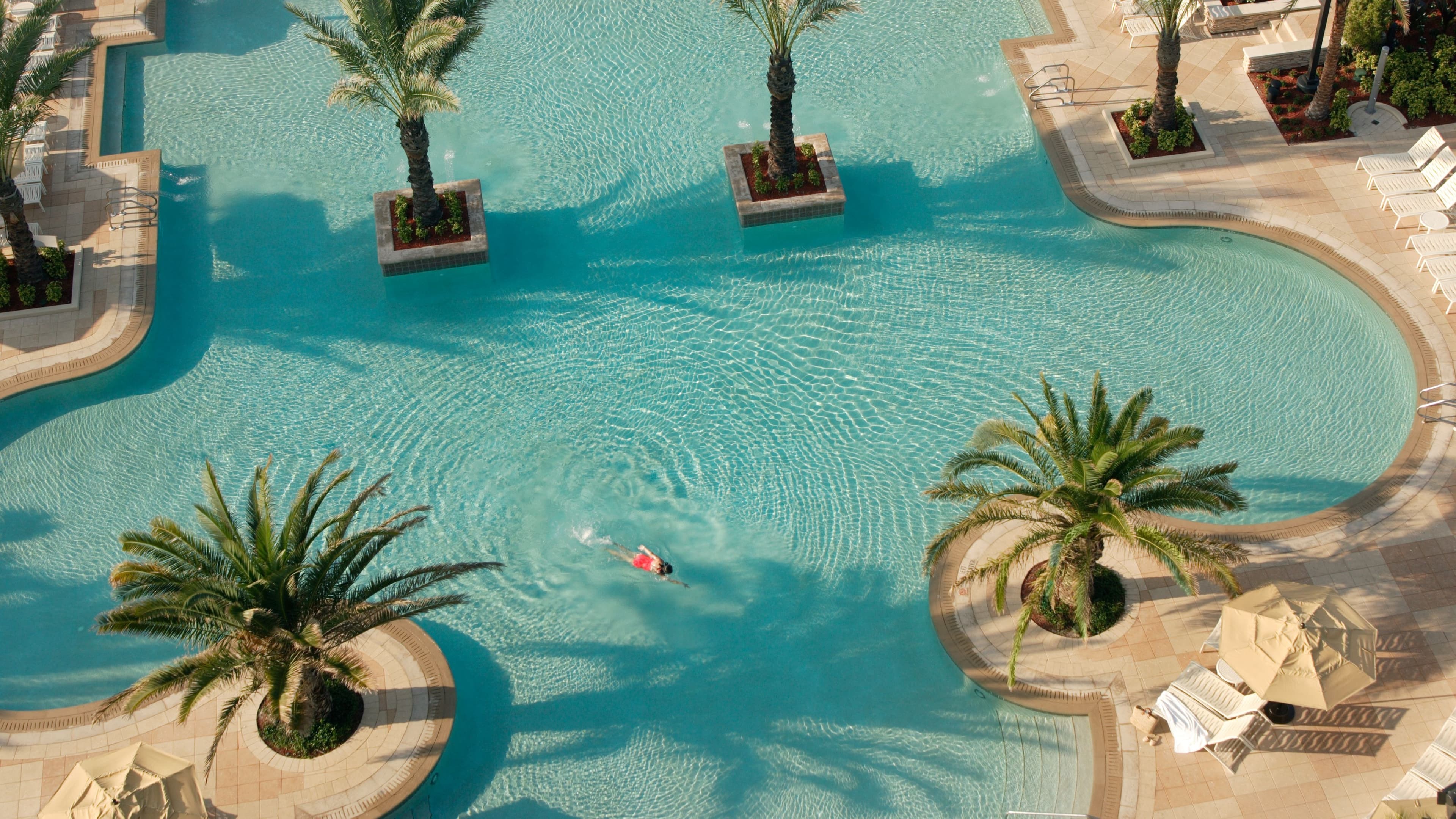 Tropical View - Image 5