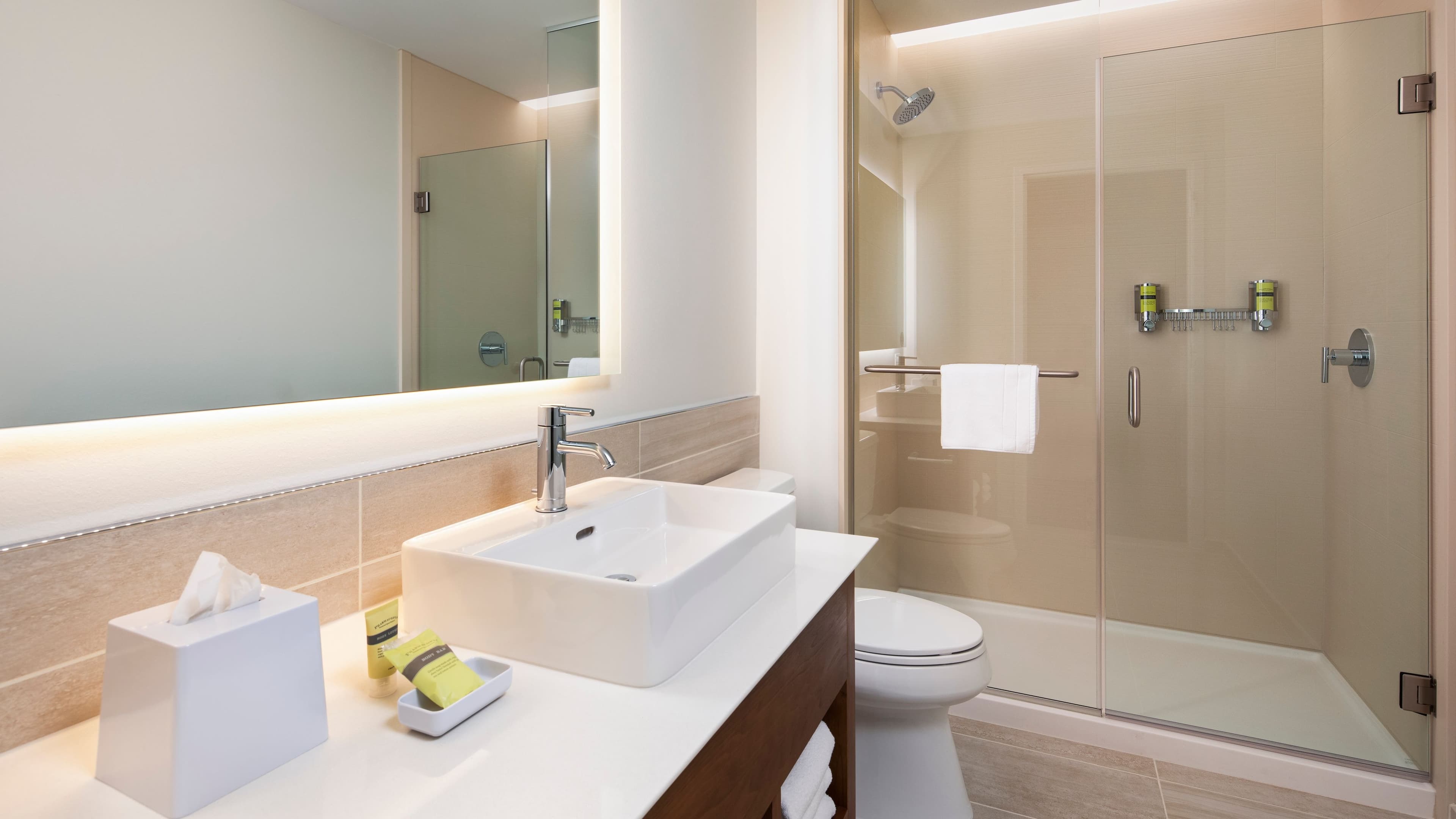 Standard - Image 6