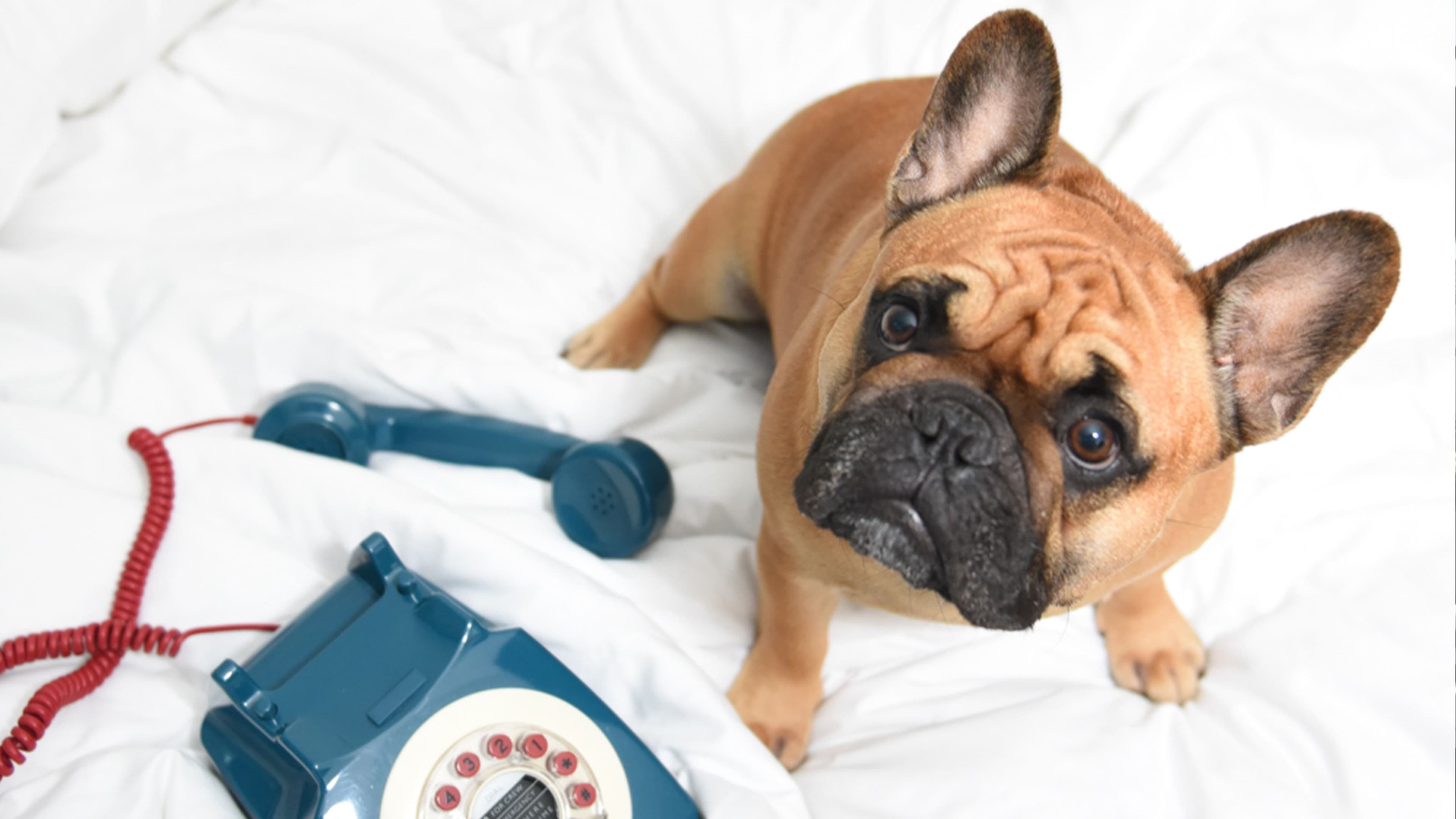 Guest room - Image 3