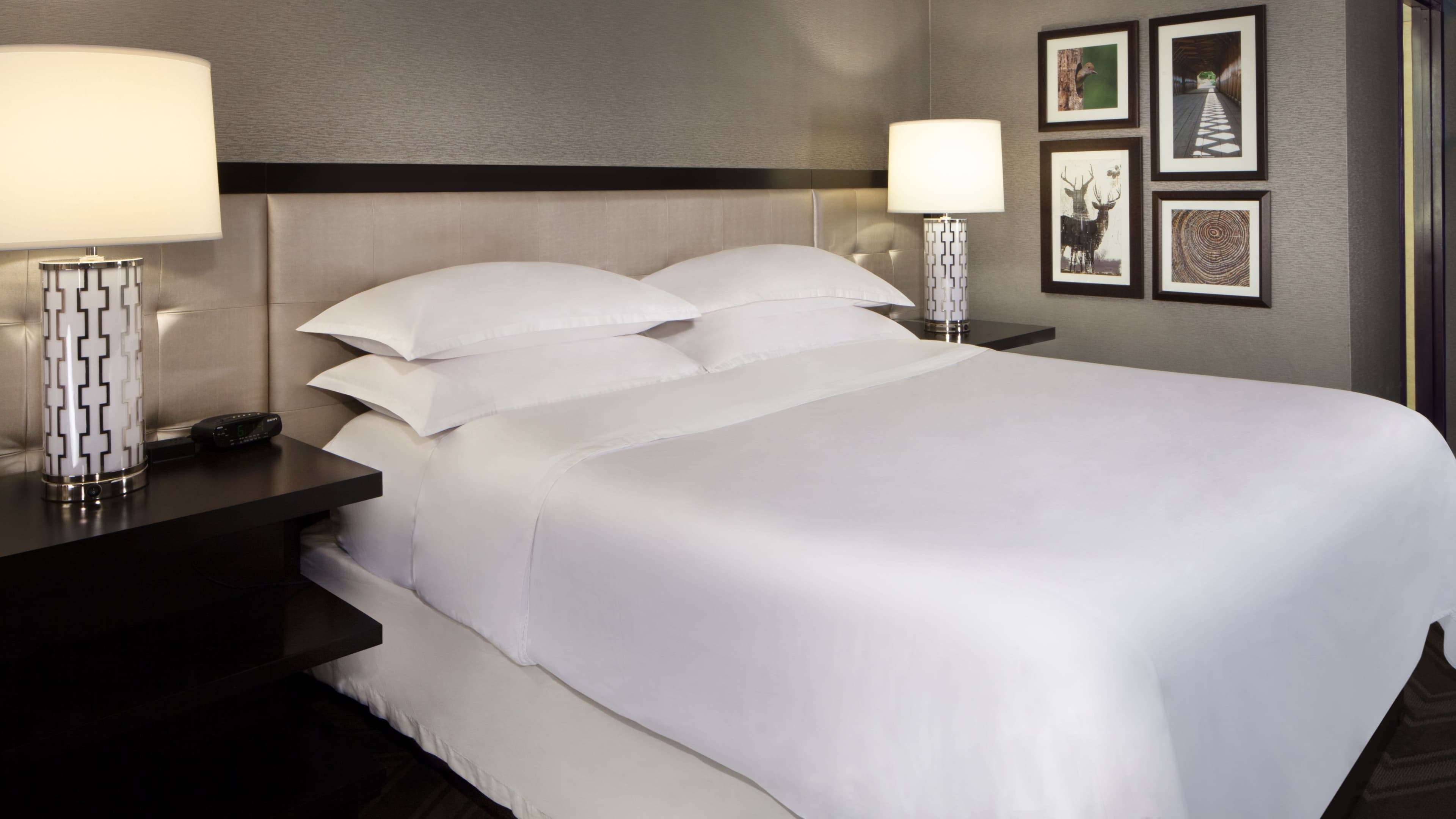 Sheraton Bucks County Langhorne — 9