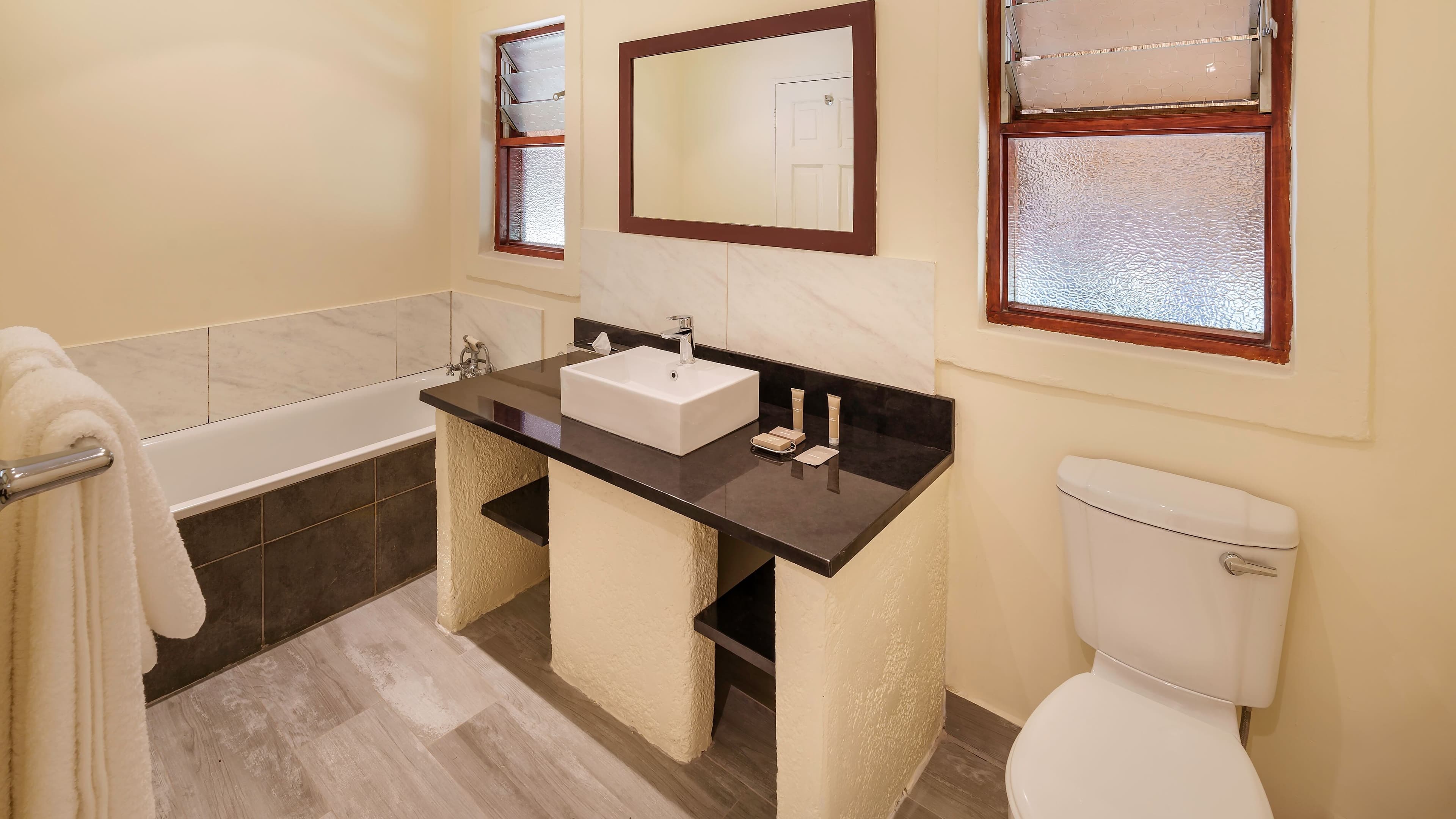 Holiday Inn Lusaka — 18