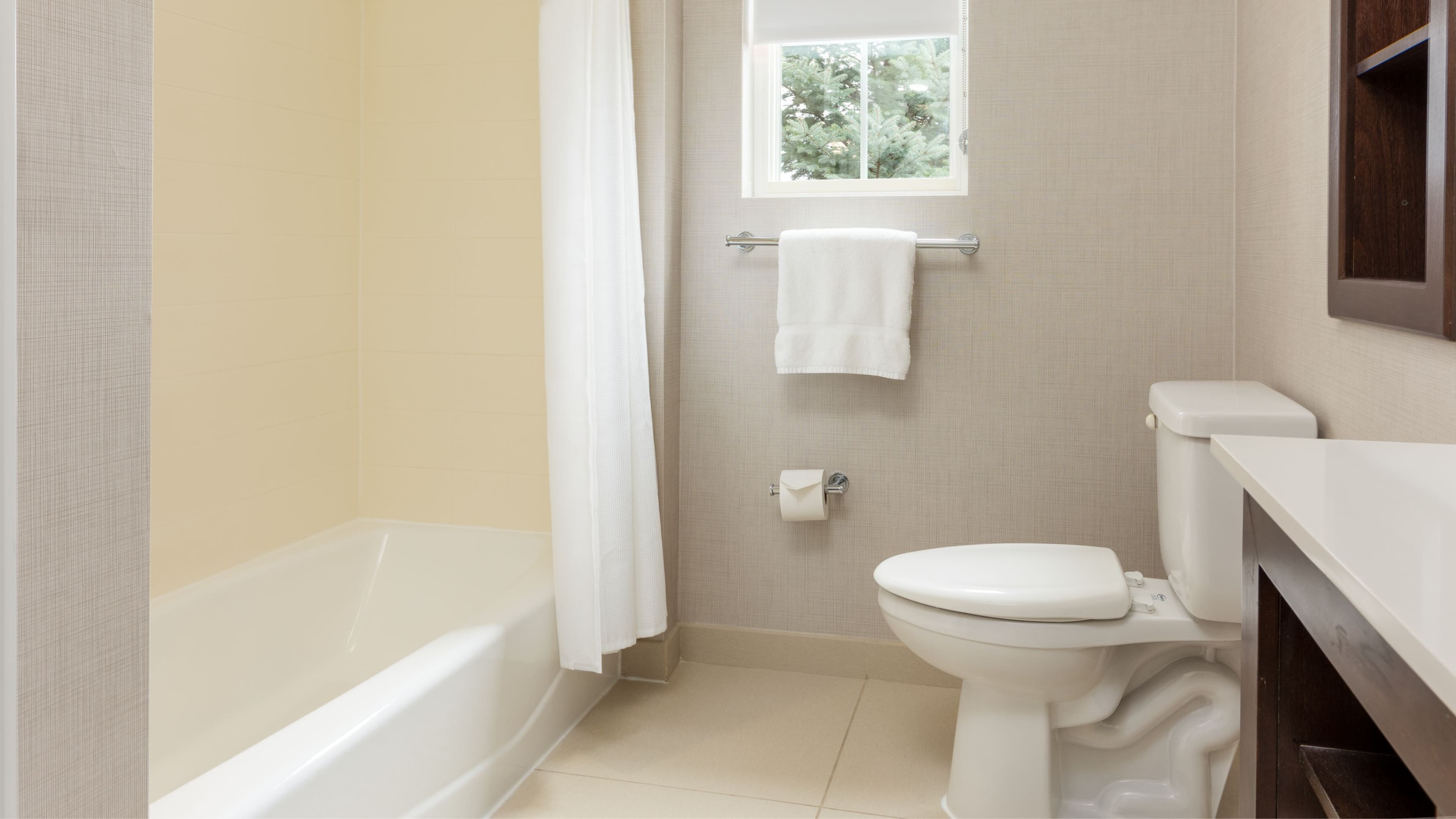 One Bedroom - Image 6