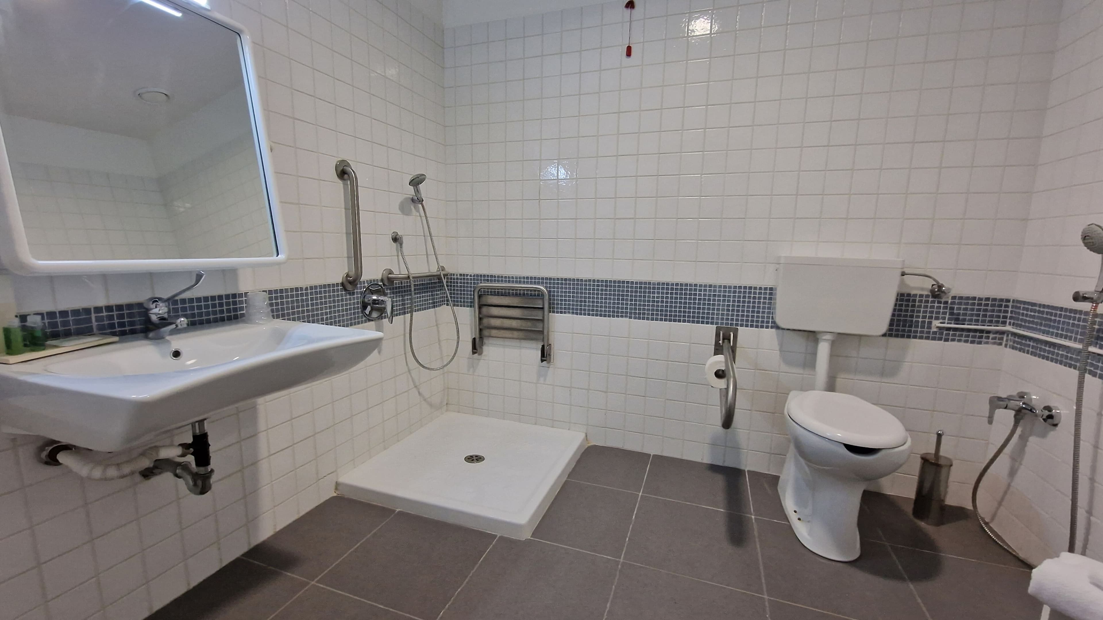 Standard - Image 6
