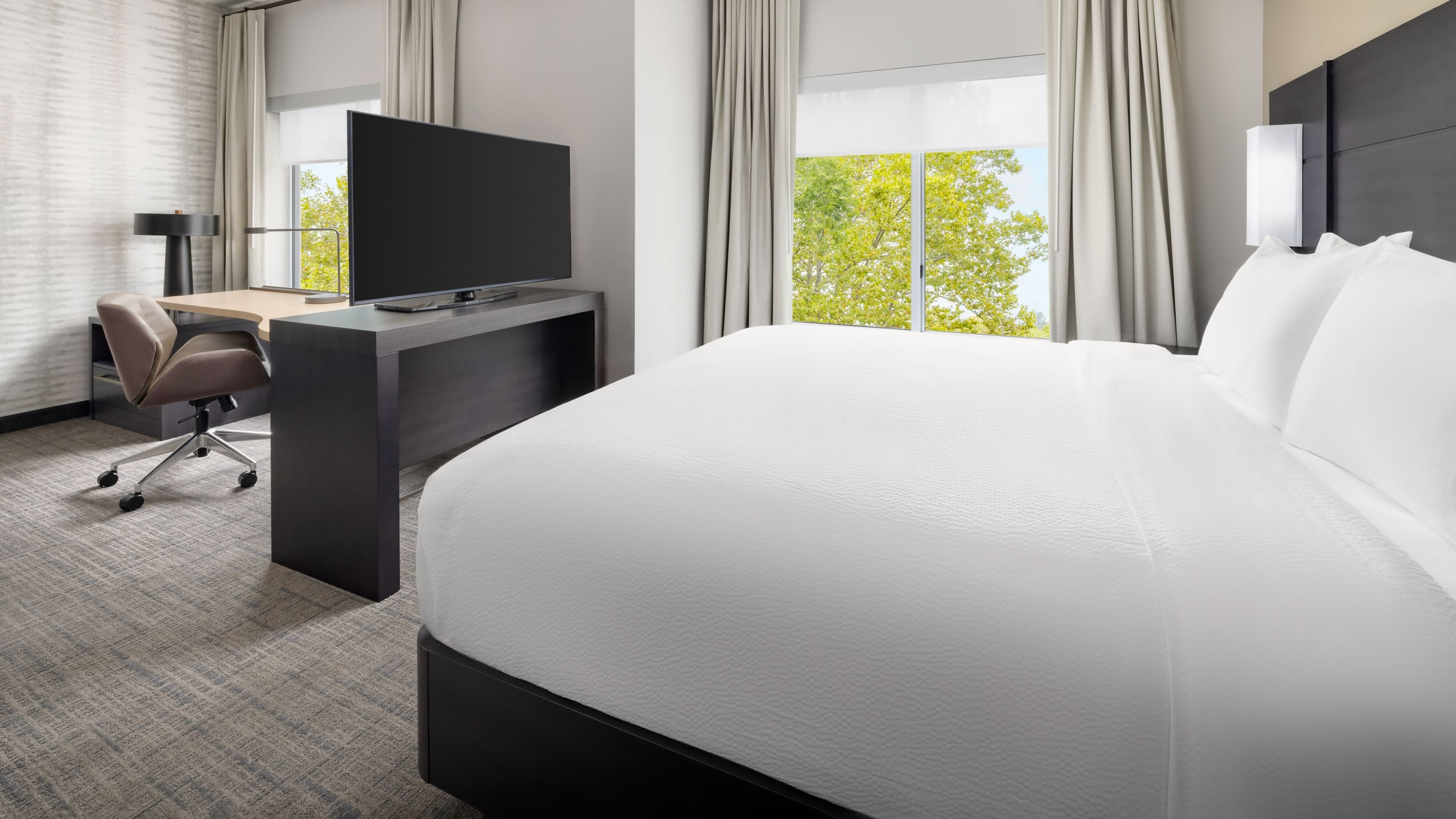Studio Suite - Image 1