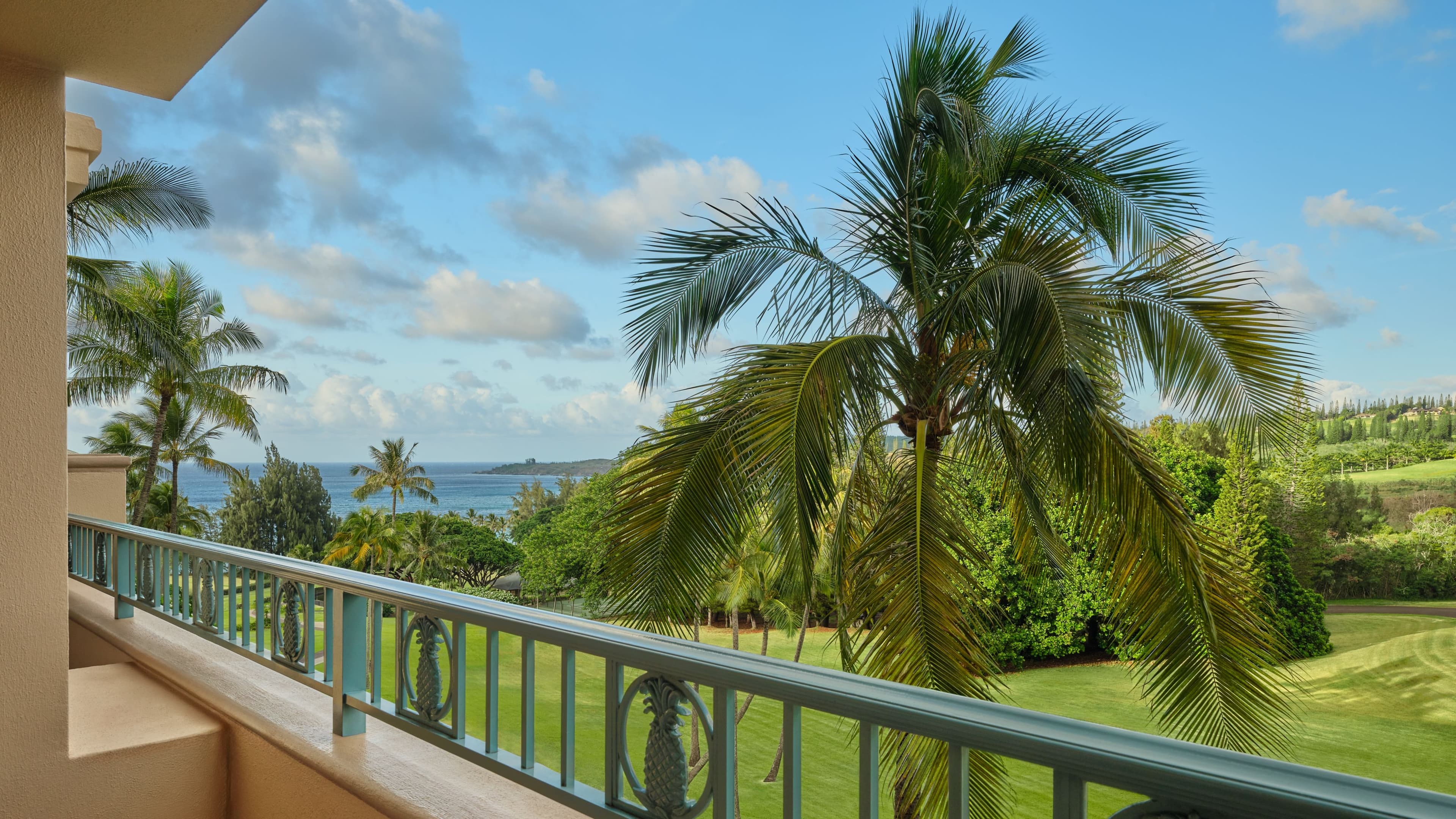 The Ritz-Carlton Maui, Kapalua — 138