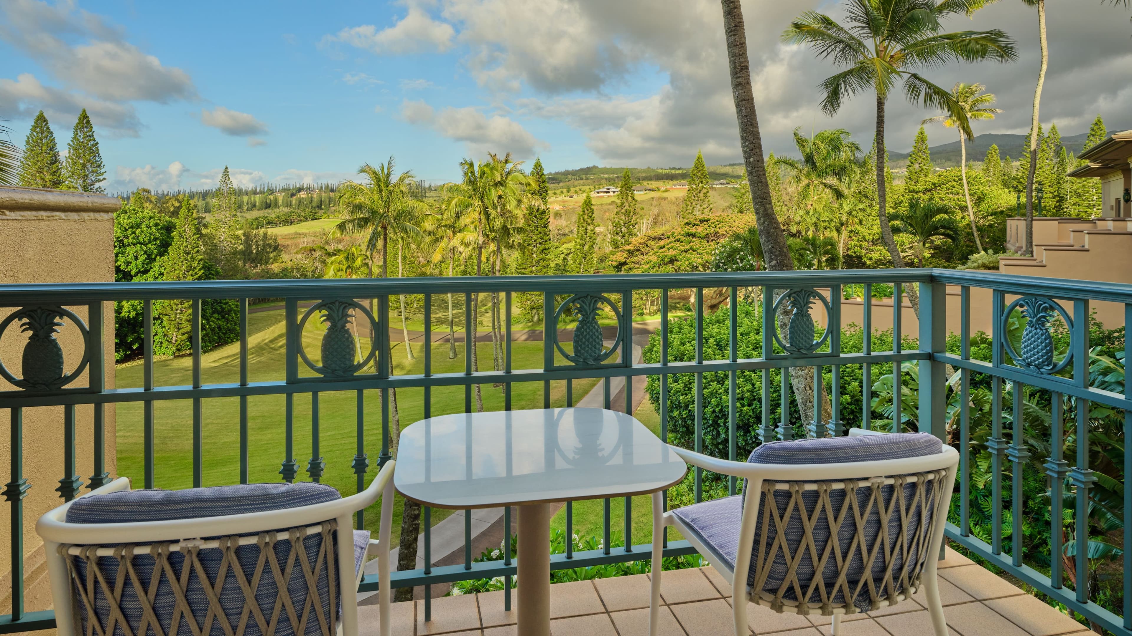 The Ritz-Carlton Maui, Kapalua — 141