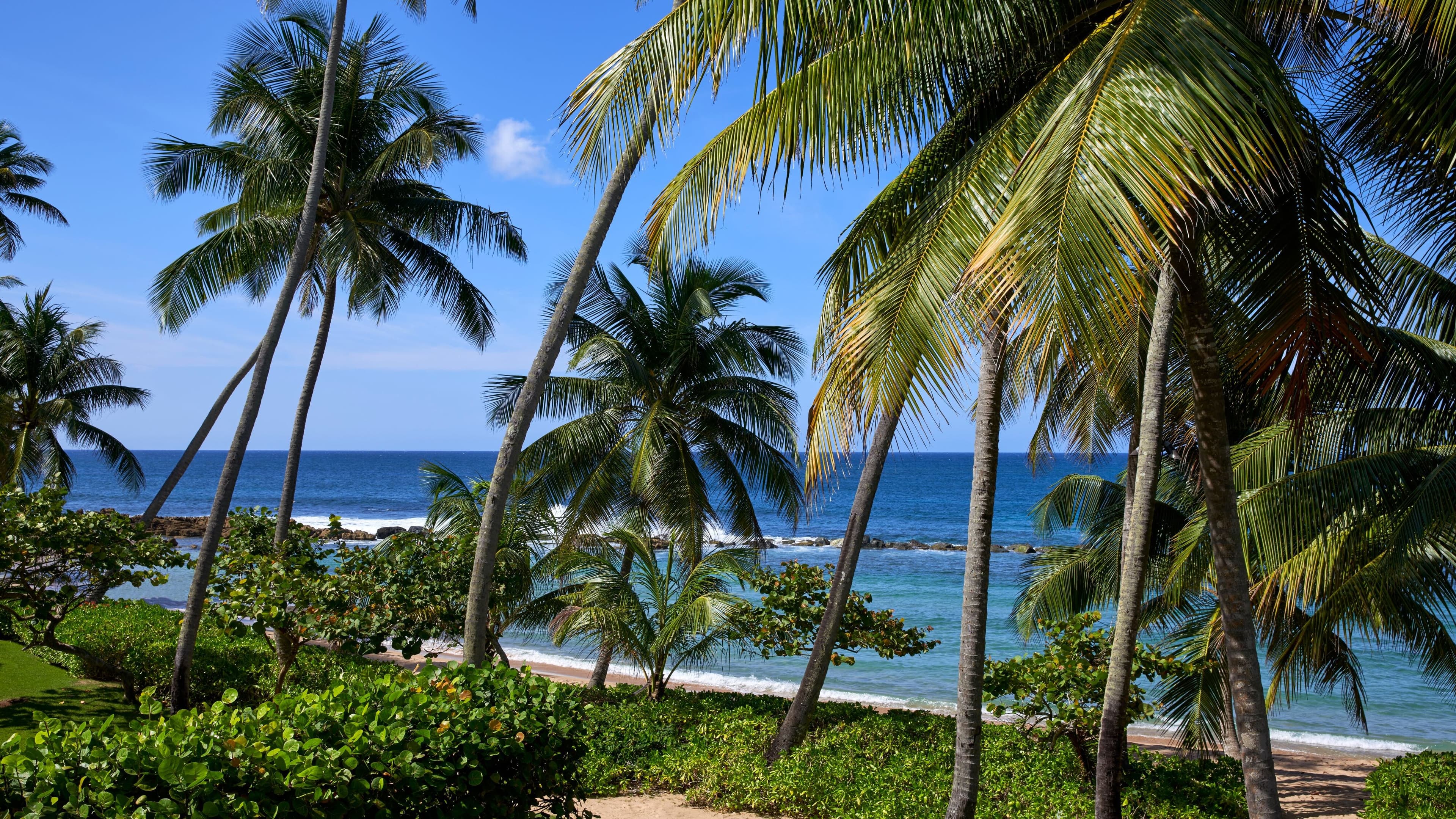 Dorado Beach, a Ritz-Carlton Reserve — 11