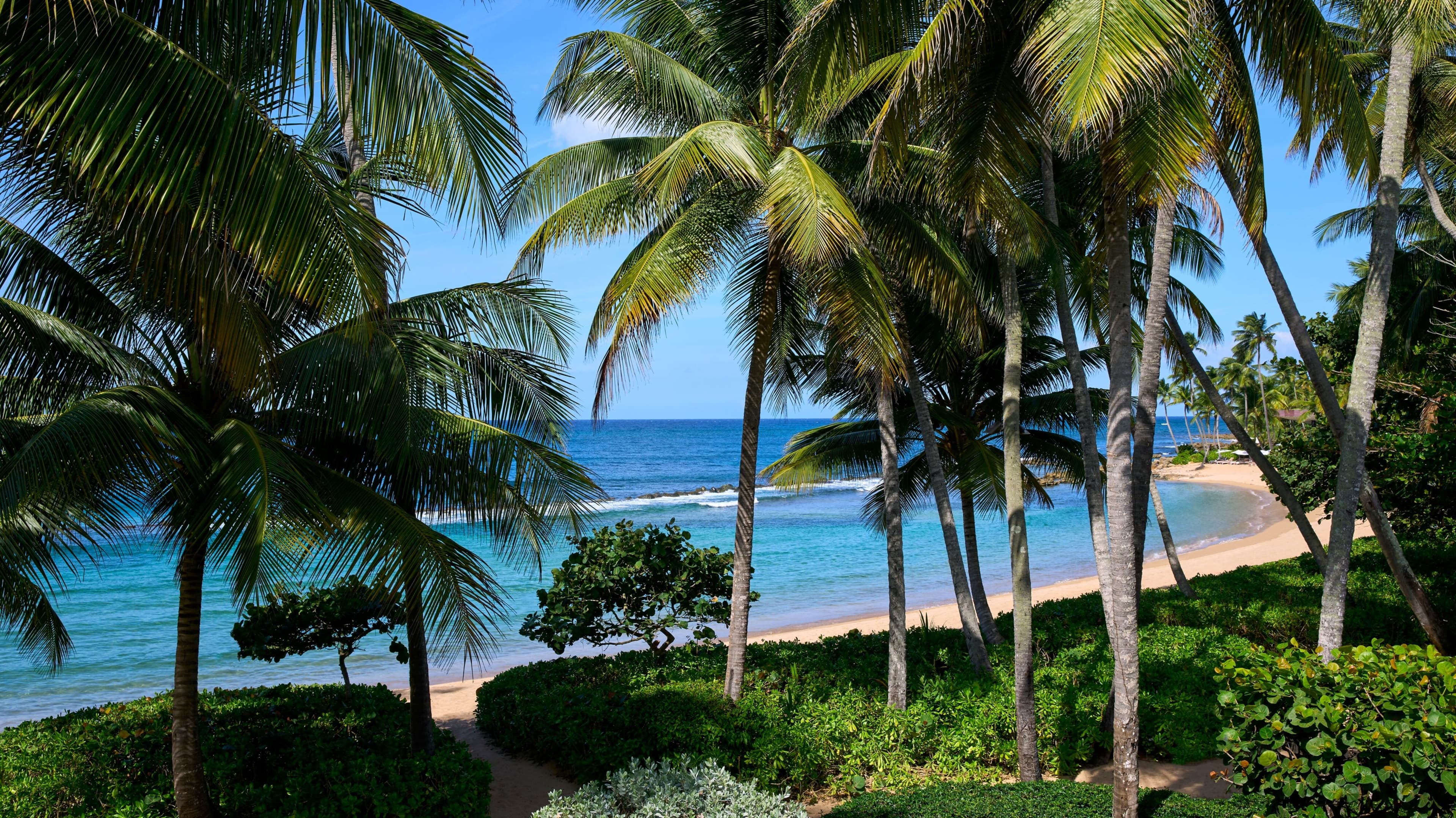 Dorado Beach, a Ritz-Carlton Reserve — 52