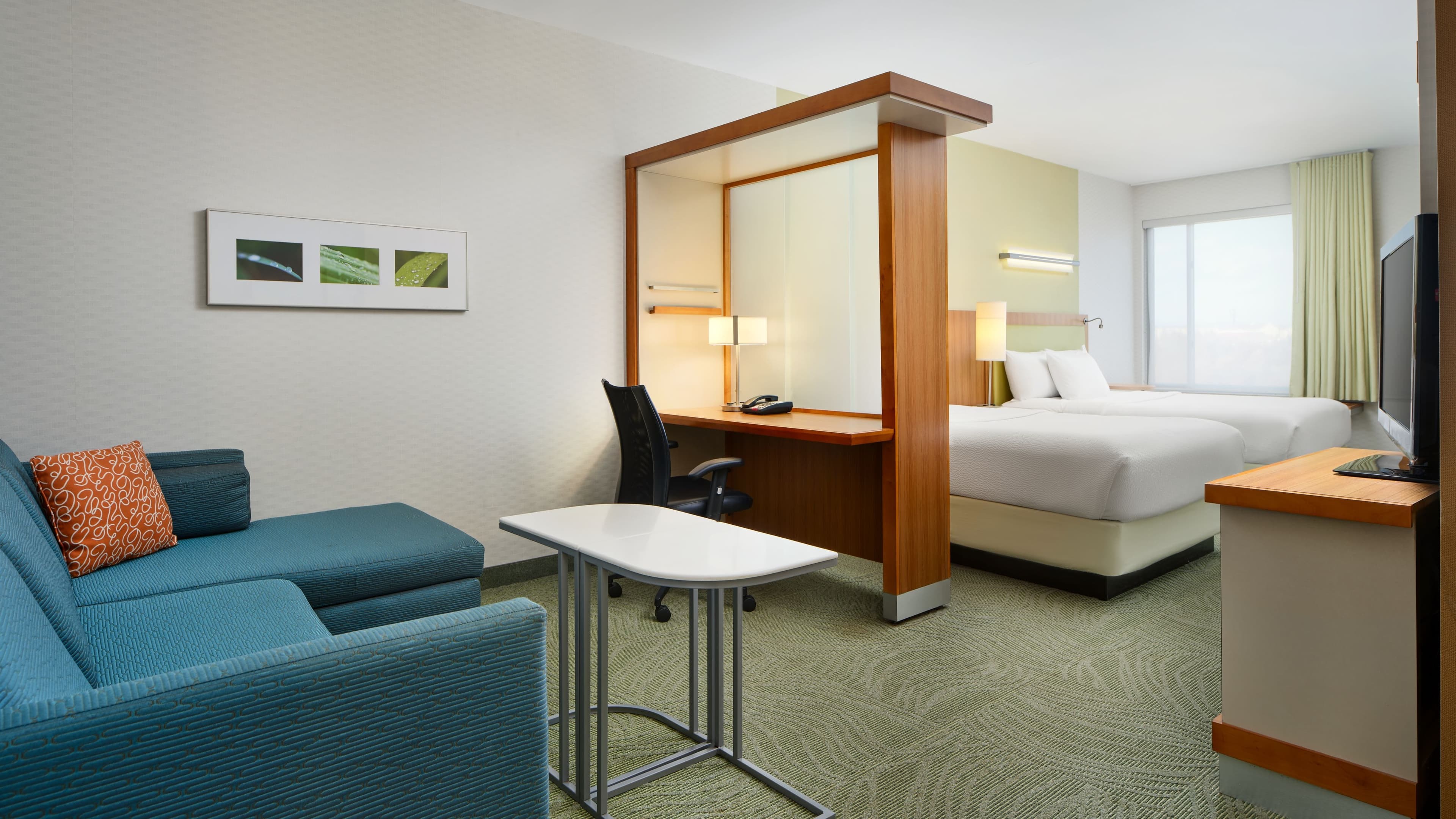 Suite - Image 1