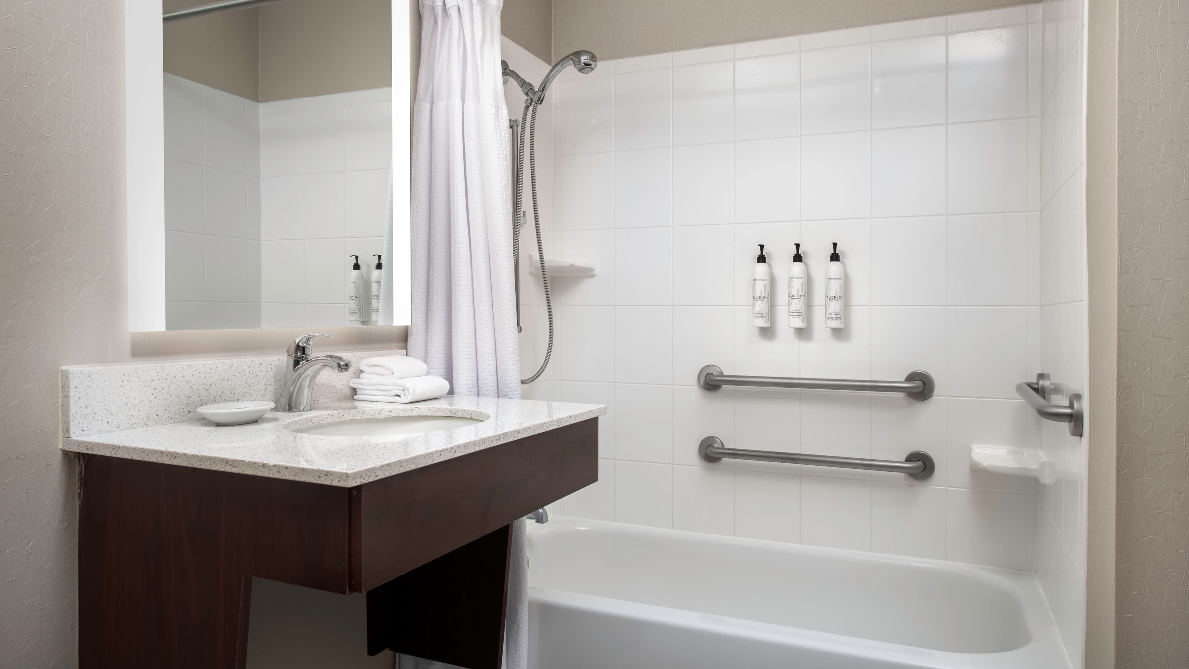 Holiday Inn Express Dallas Downtown — 13