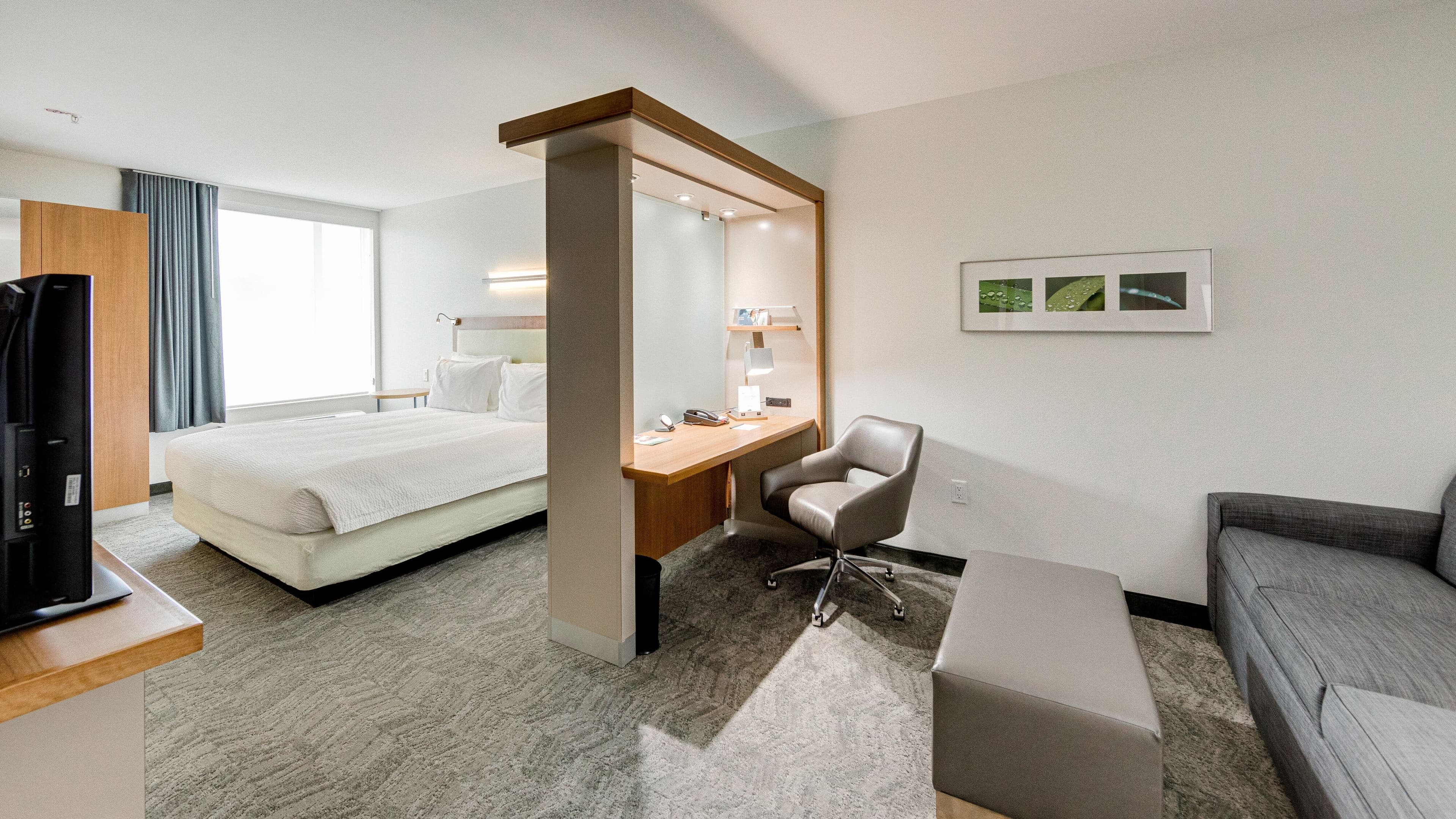 Suite - Image 1
