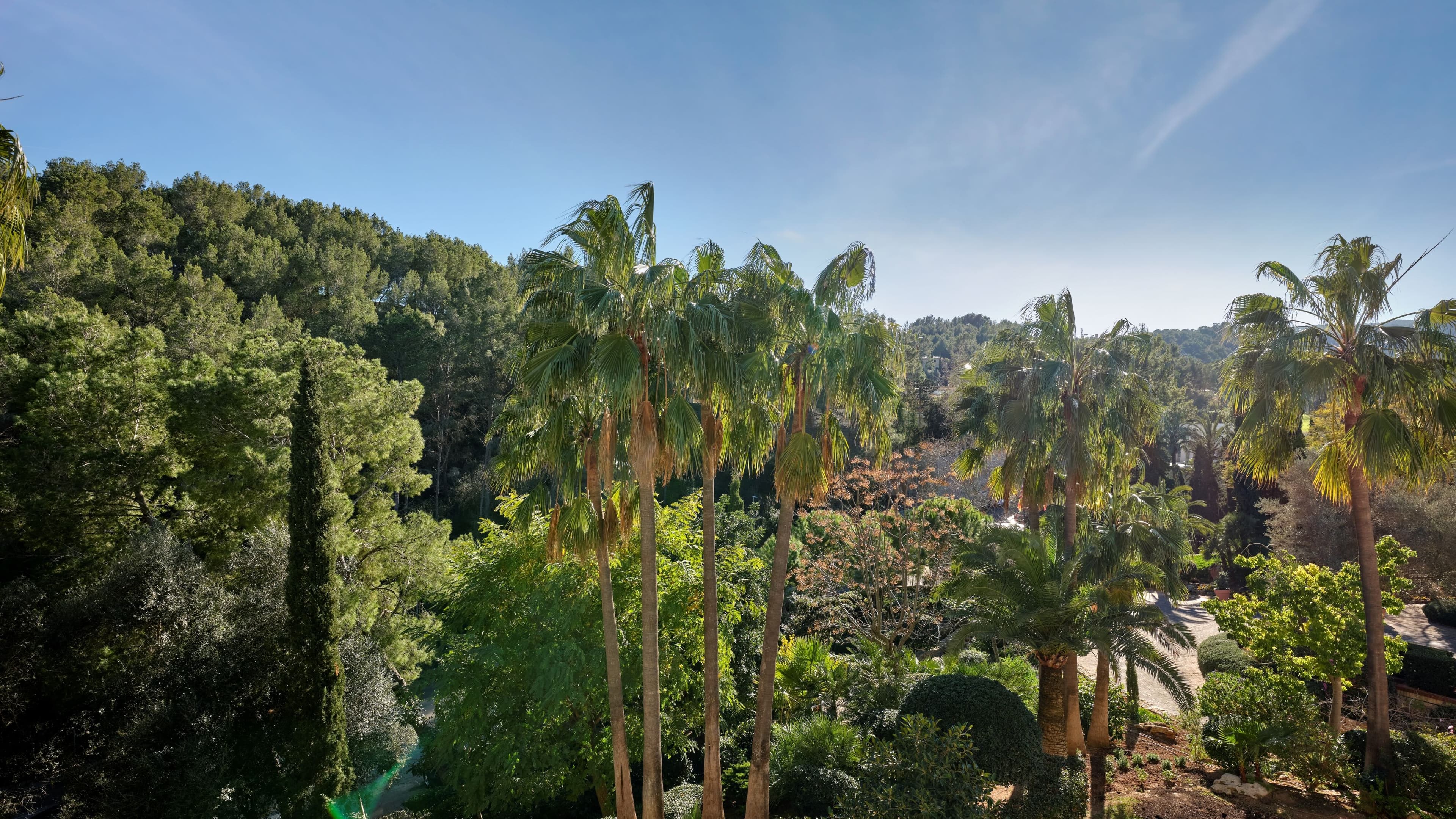 Sheraton Mallorca Arabella Golf Hotel — 8