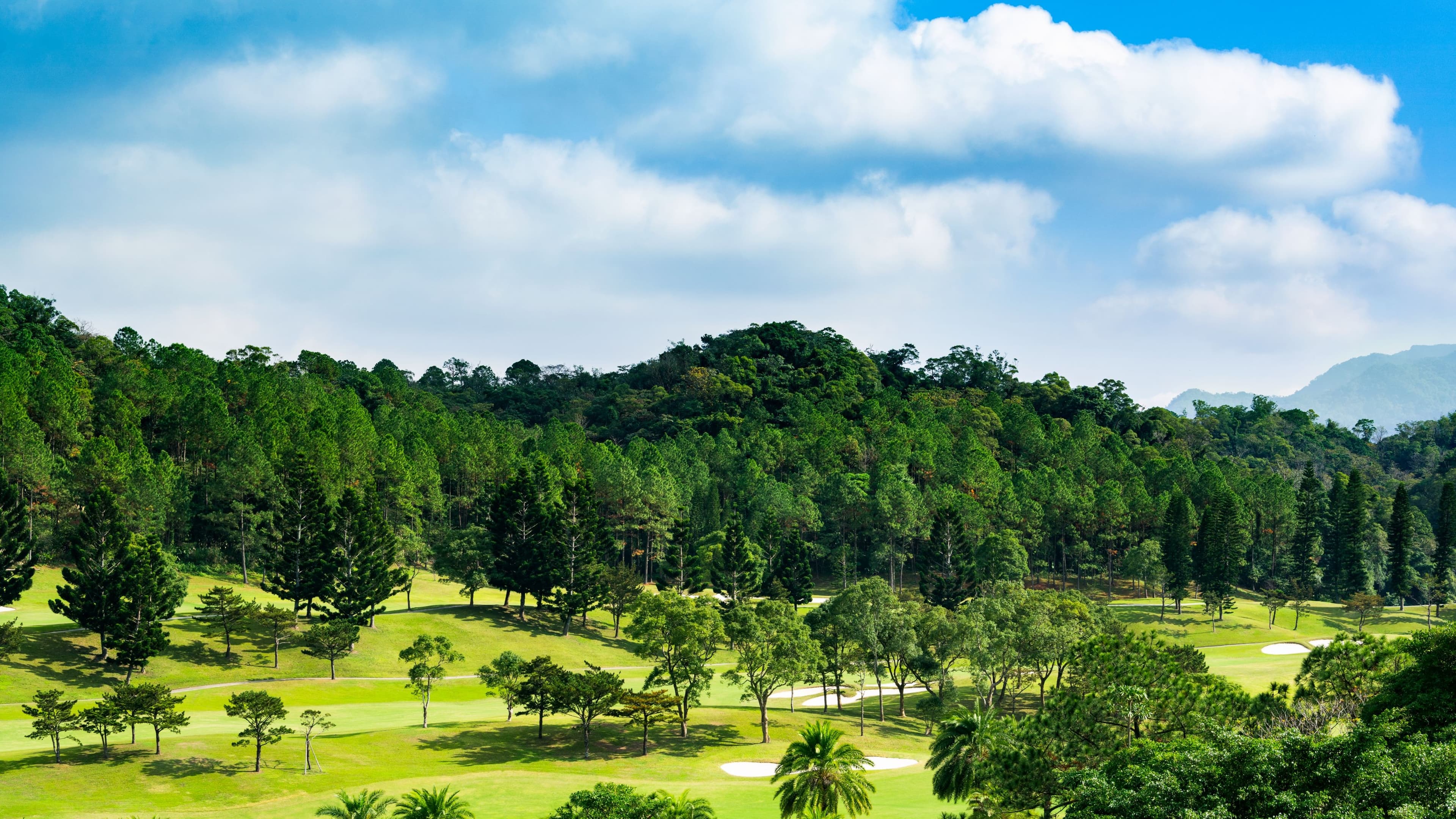 The Westin Tashee Resort, Taoyuan - Image 3